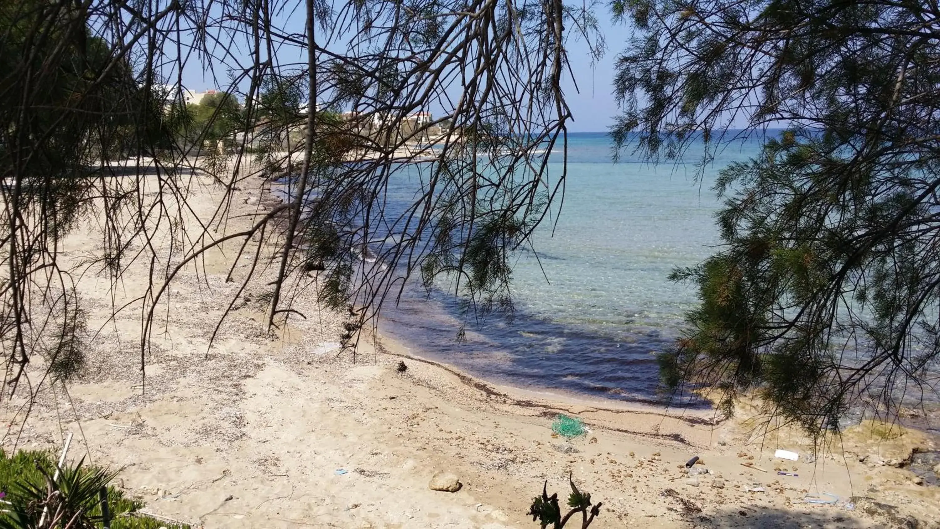 Natural landscape, Beach in Rachel Hotel