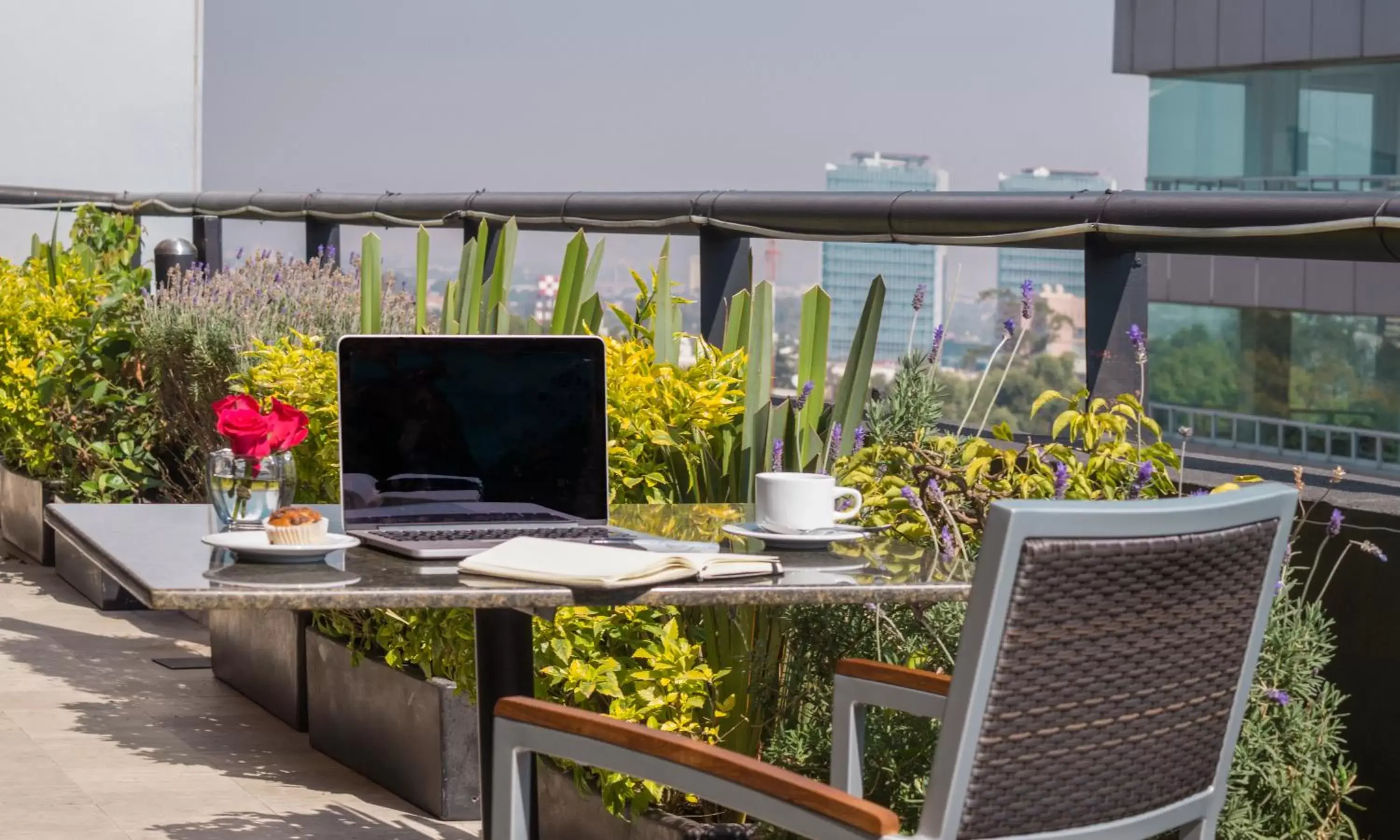 Restaurant/places to eat in Alteza Polanco Restaurant/places to eat in Alteza Polanco