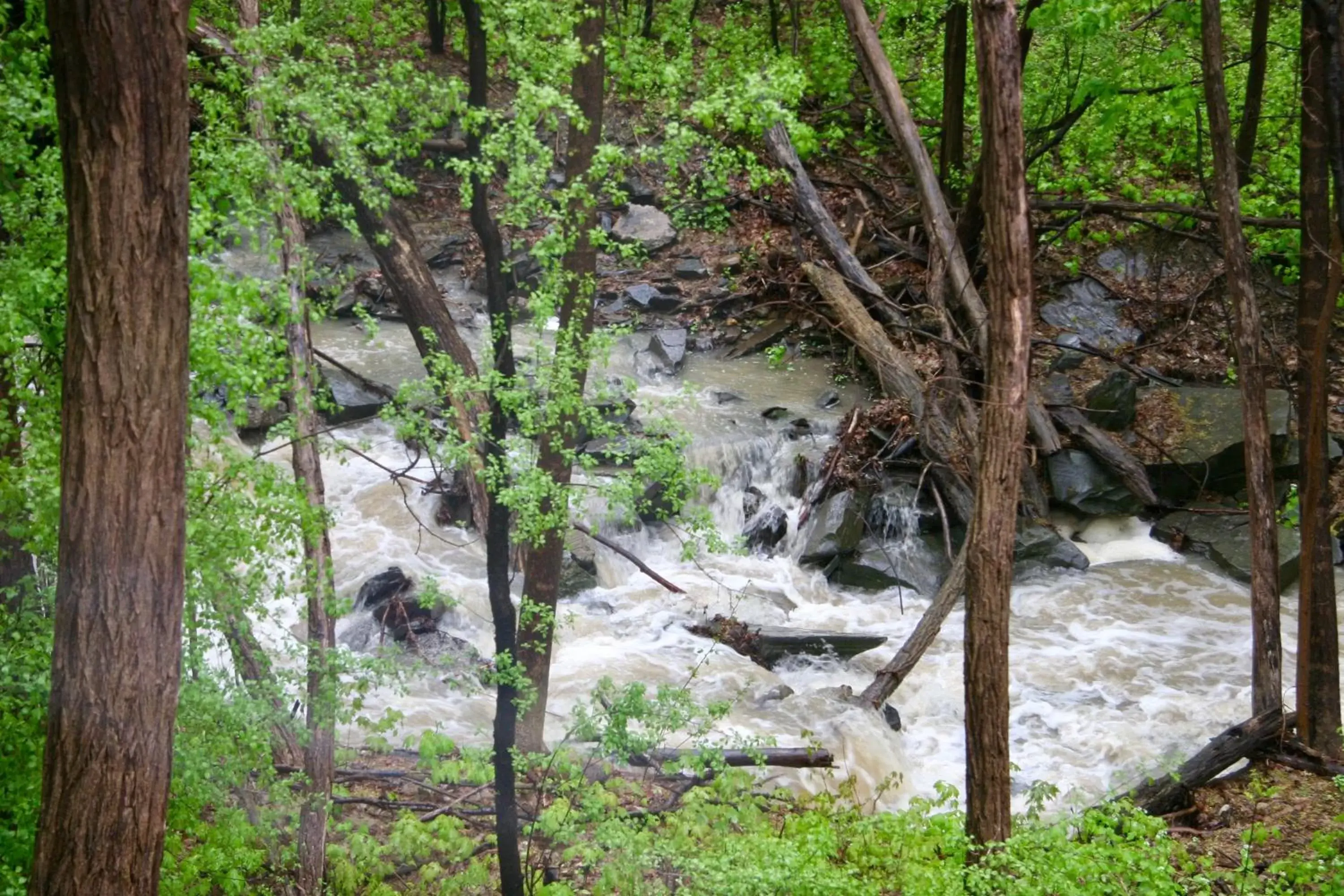 River view in Lakeside Resort