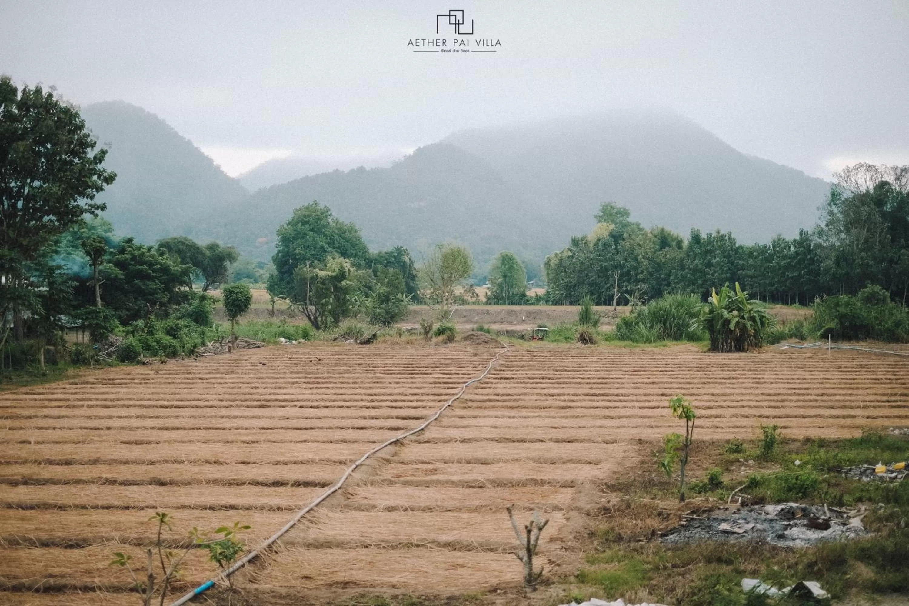 Garden view in Aether Pai Villa