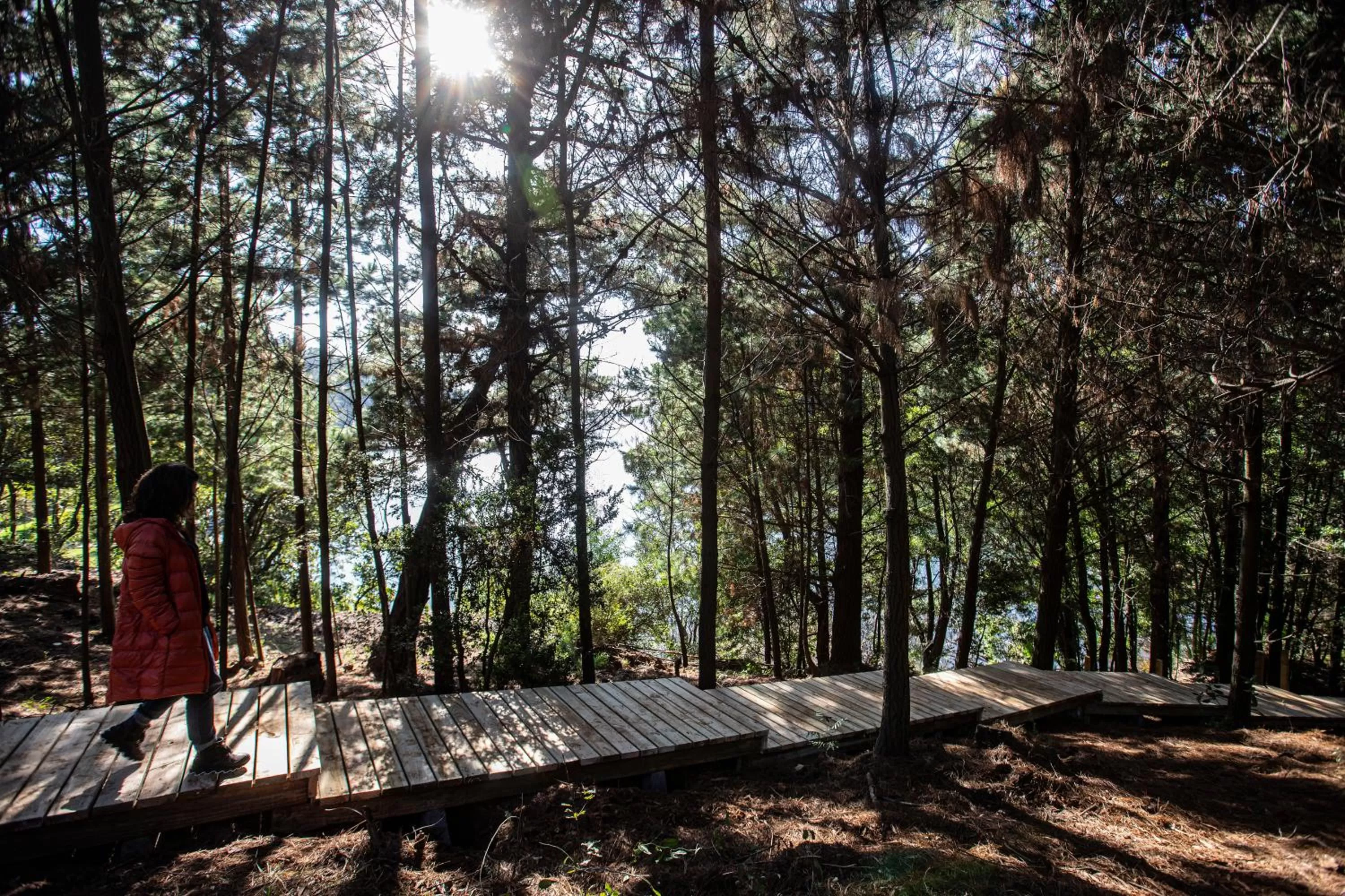Hiking in Pura Lodge