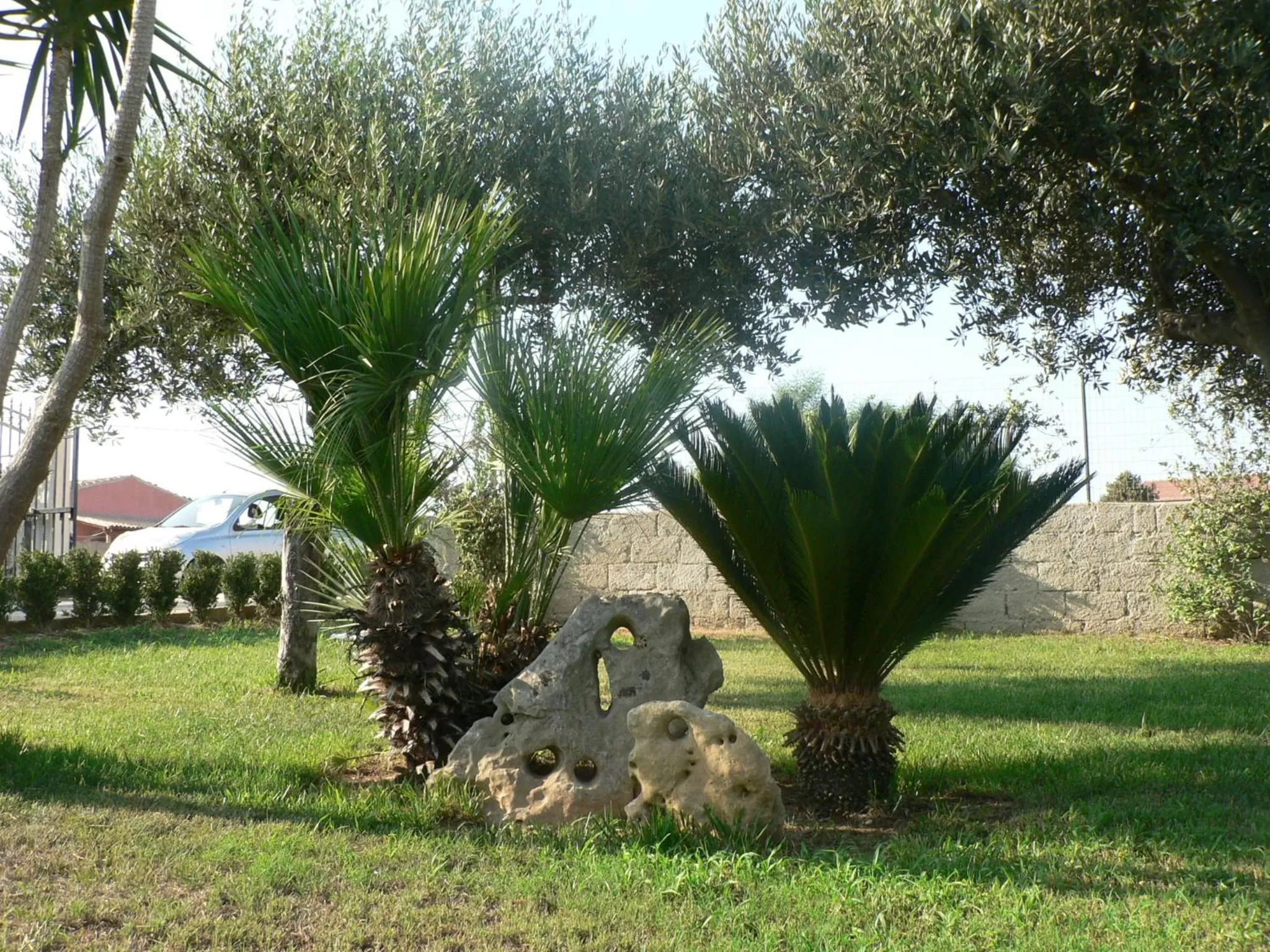 Garden in B&B Villa Francesco