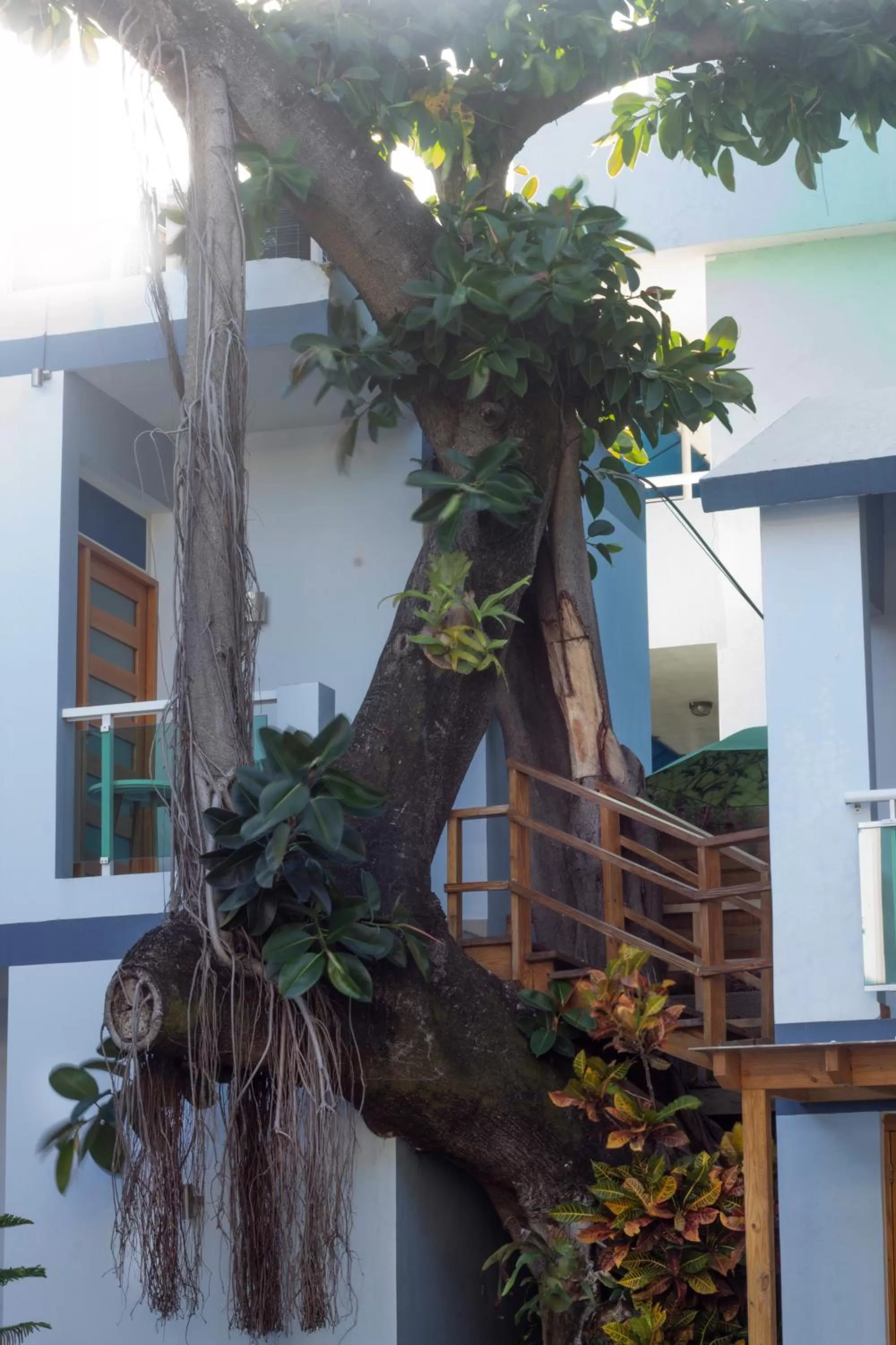 Property building in Casa Valeria Boutique Hotel