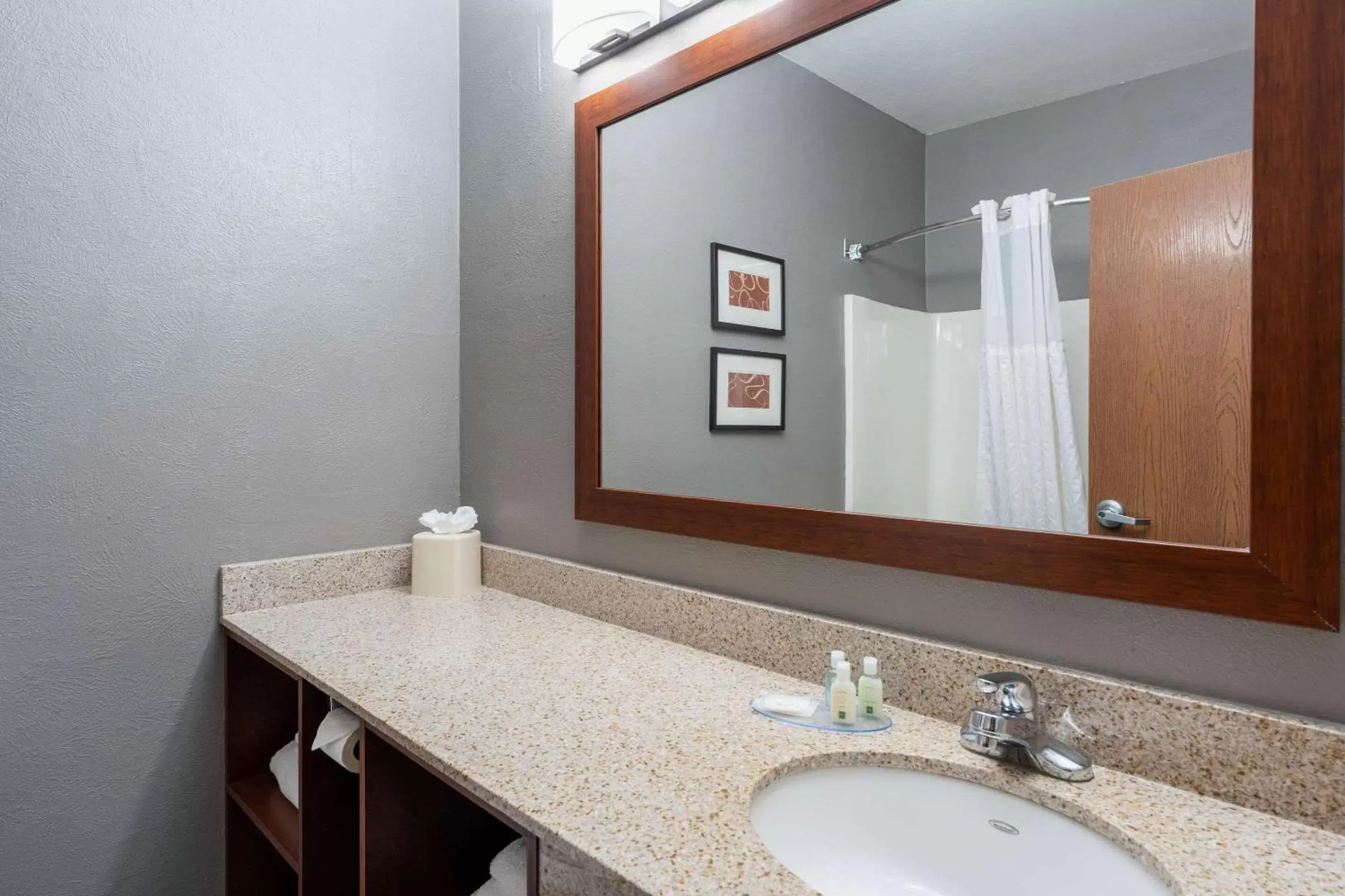 Bedroom, Bathroom in Quality Suites NE Indianapolis Fishers