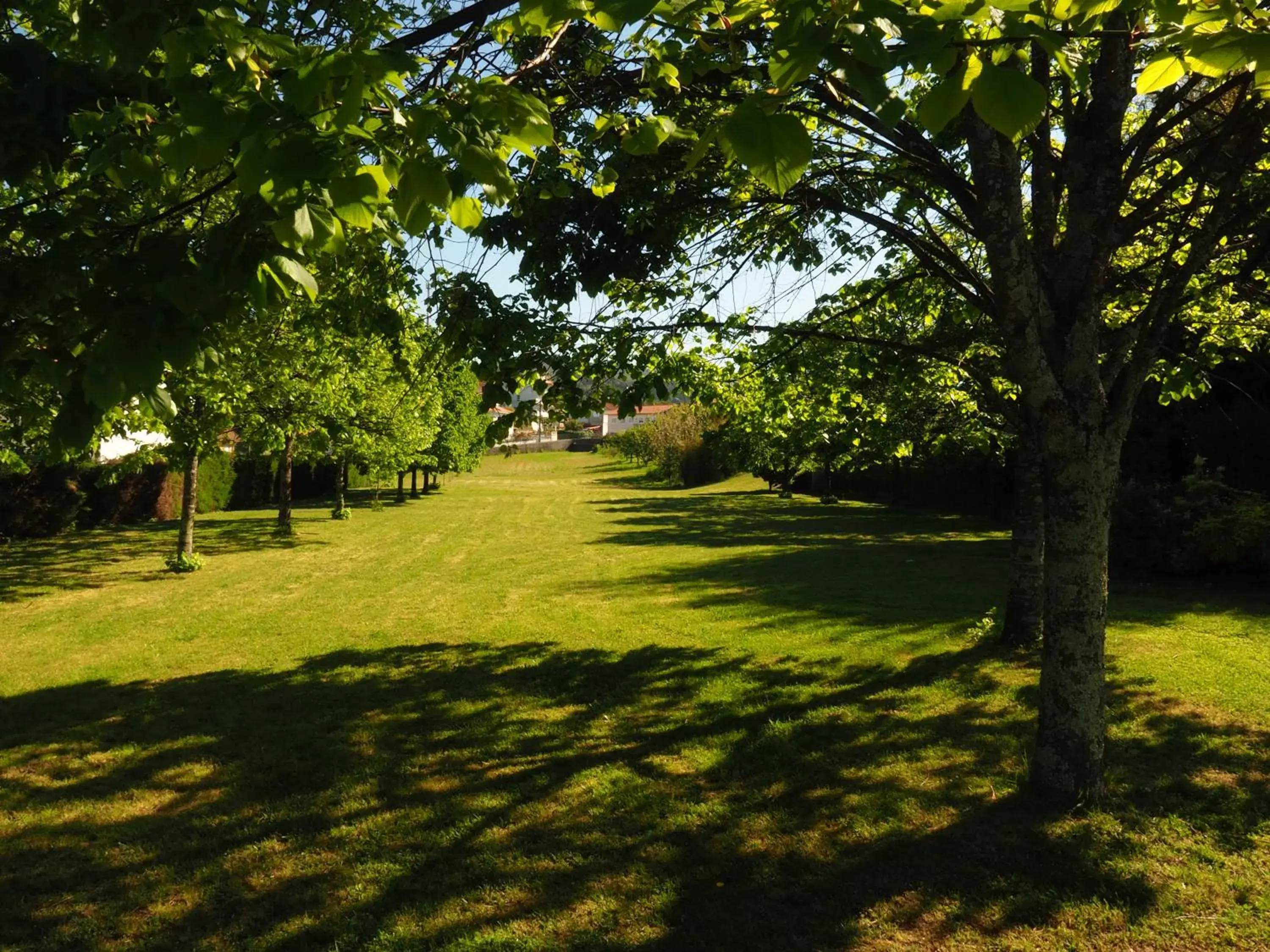 Garden in Hotel Solar das Laranjeiras