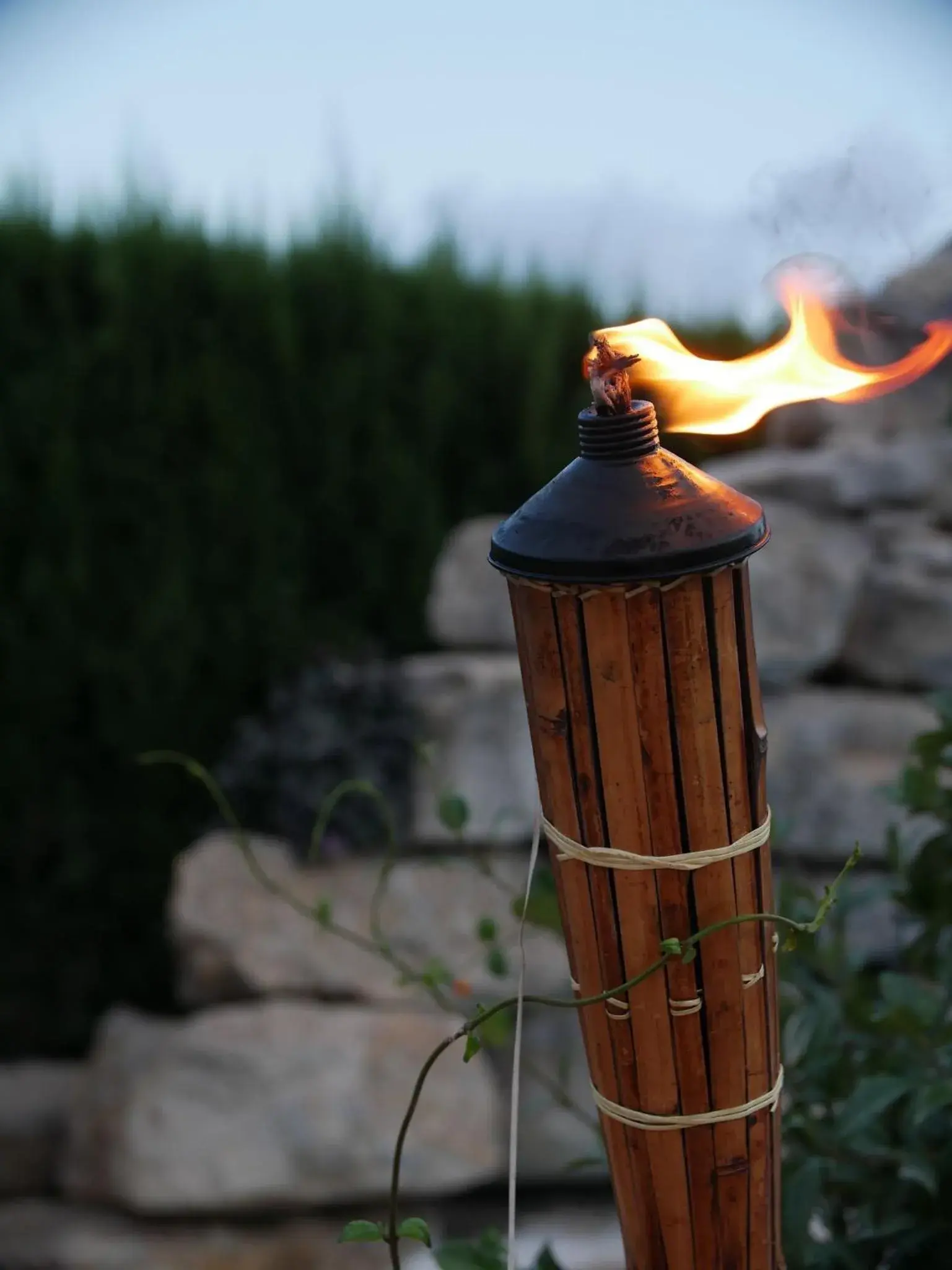 Property building in Boutique Hostal La Curandera de Salinas Property building in Boutique Hostal La Curandera de Salinas