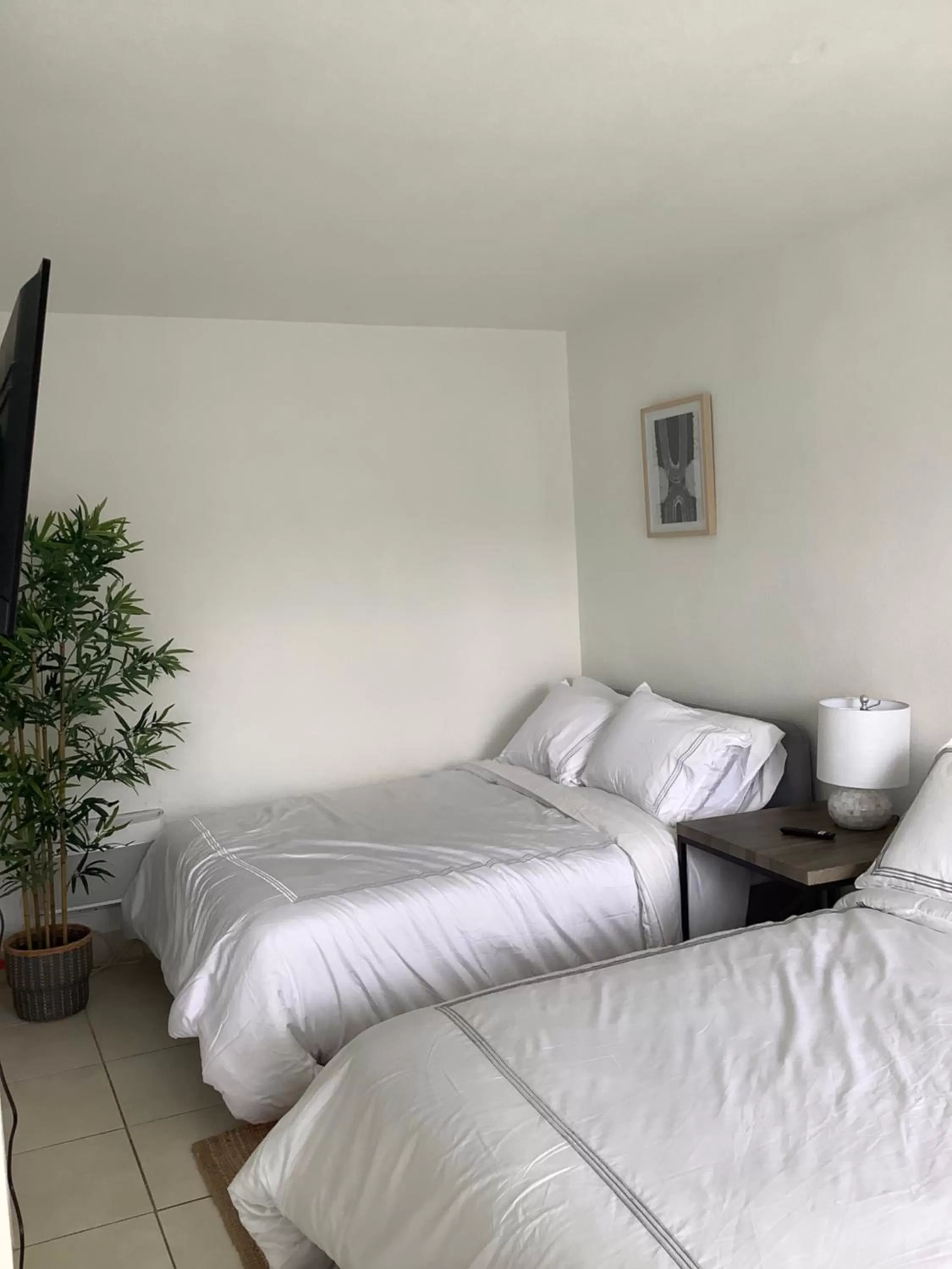 Bed in Hotel Motel Lauderdale Inn