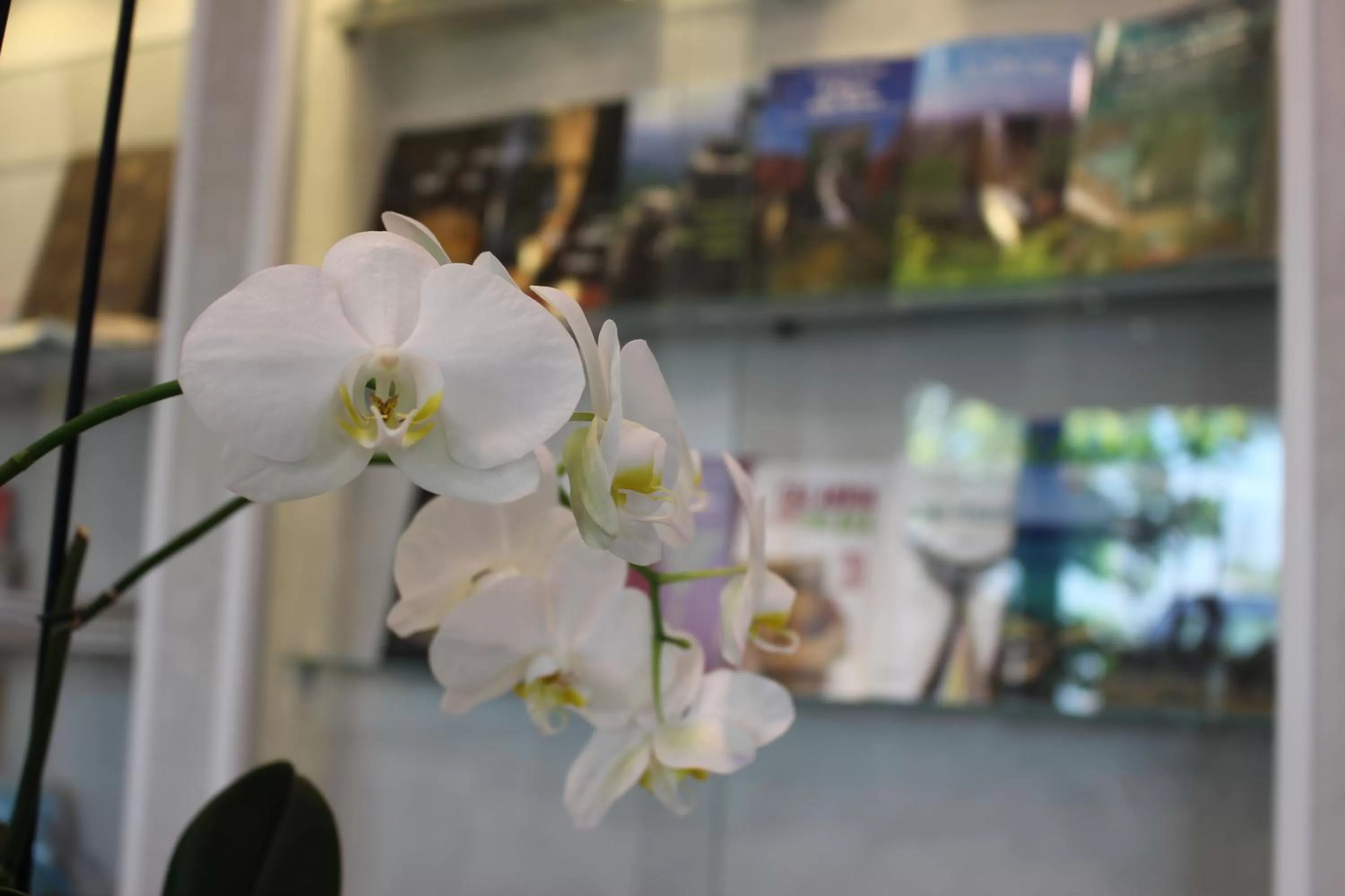 Lobby or reception in Altavilla Boutique Hotel