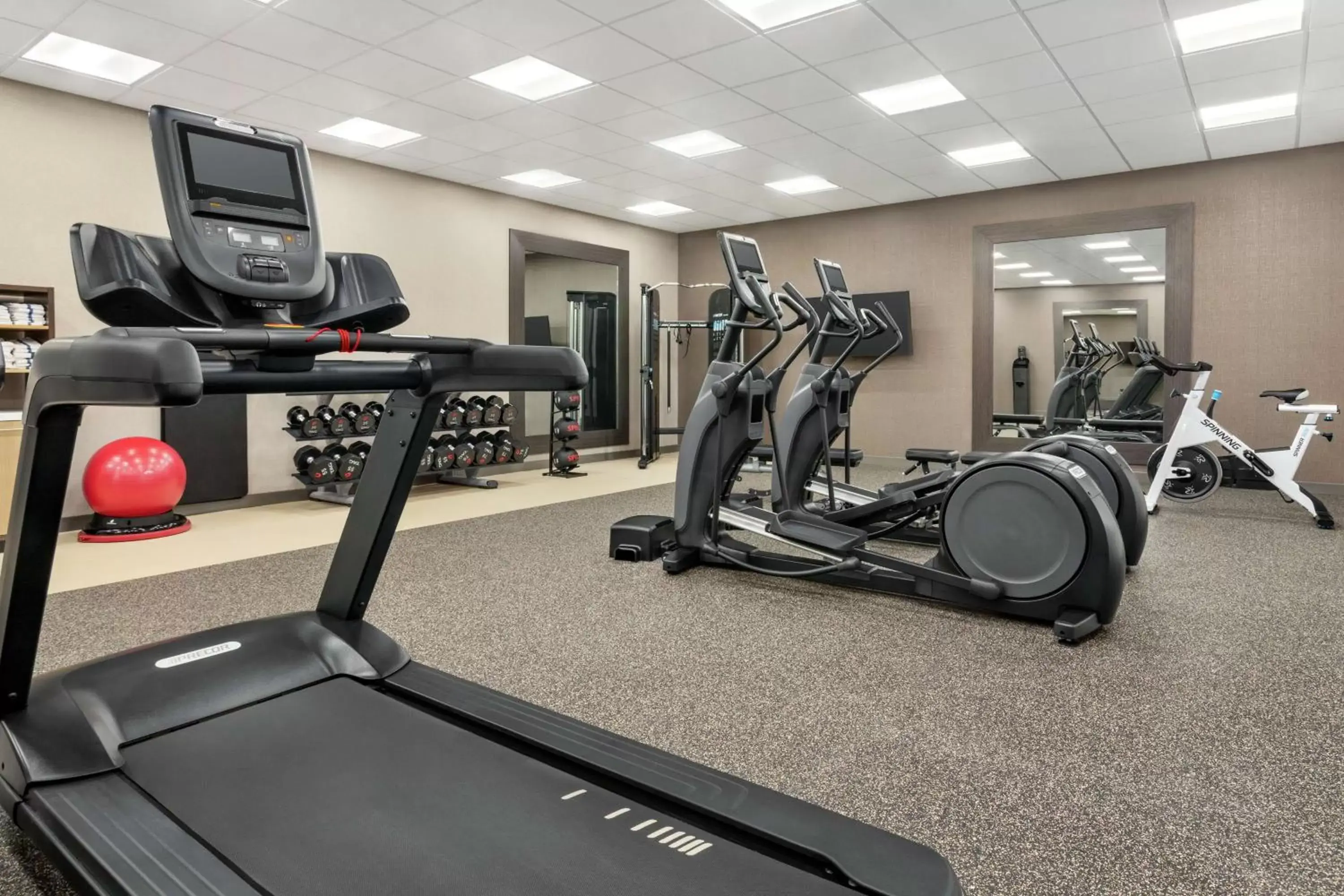 Fitness centre/facilities, Fitness Center/Facilities in Homewood Suites By Hilton Springfield Medical District