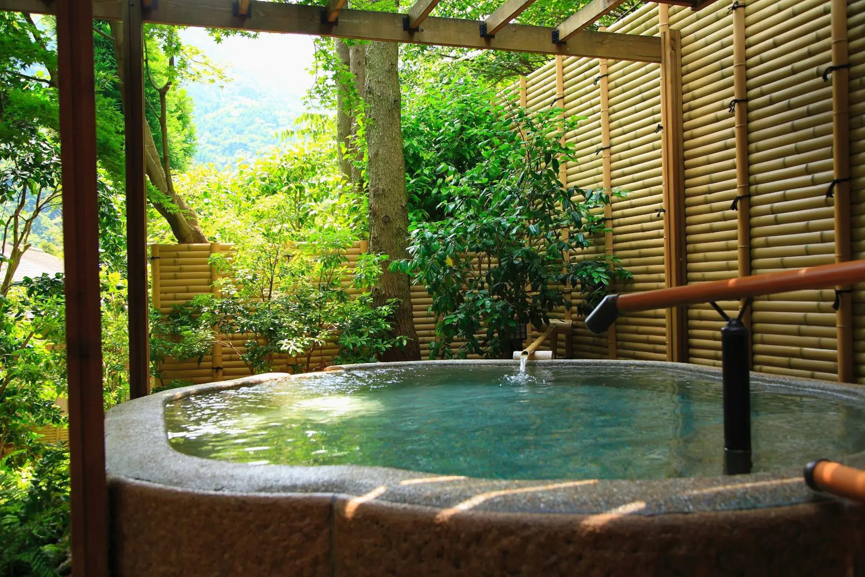 Hot Spring Bath in Tsubaki