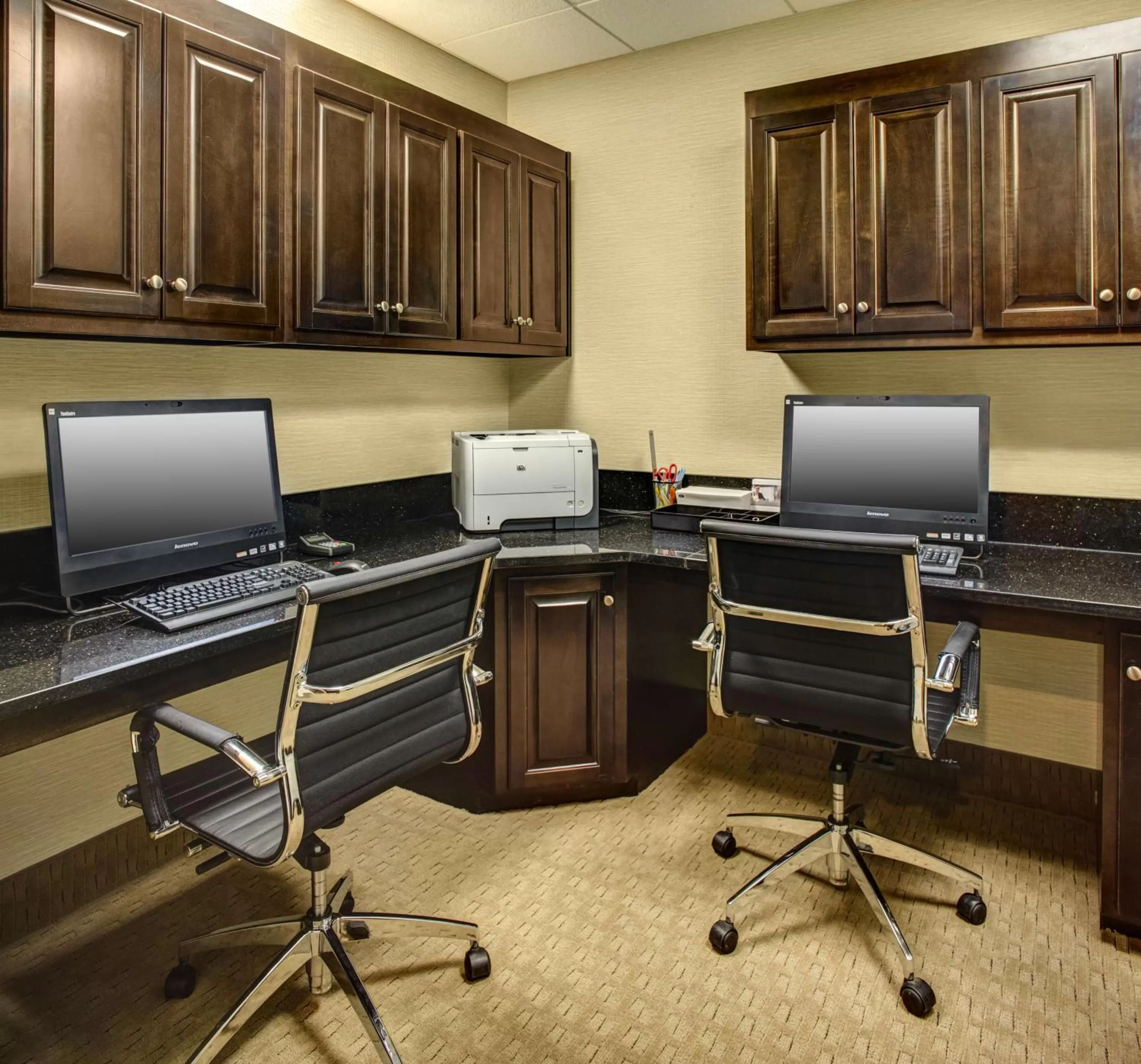 Business facilities in Hampton Inn Thomson