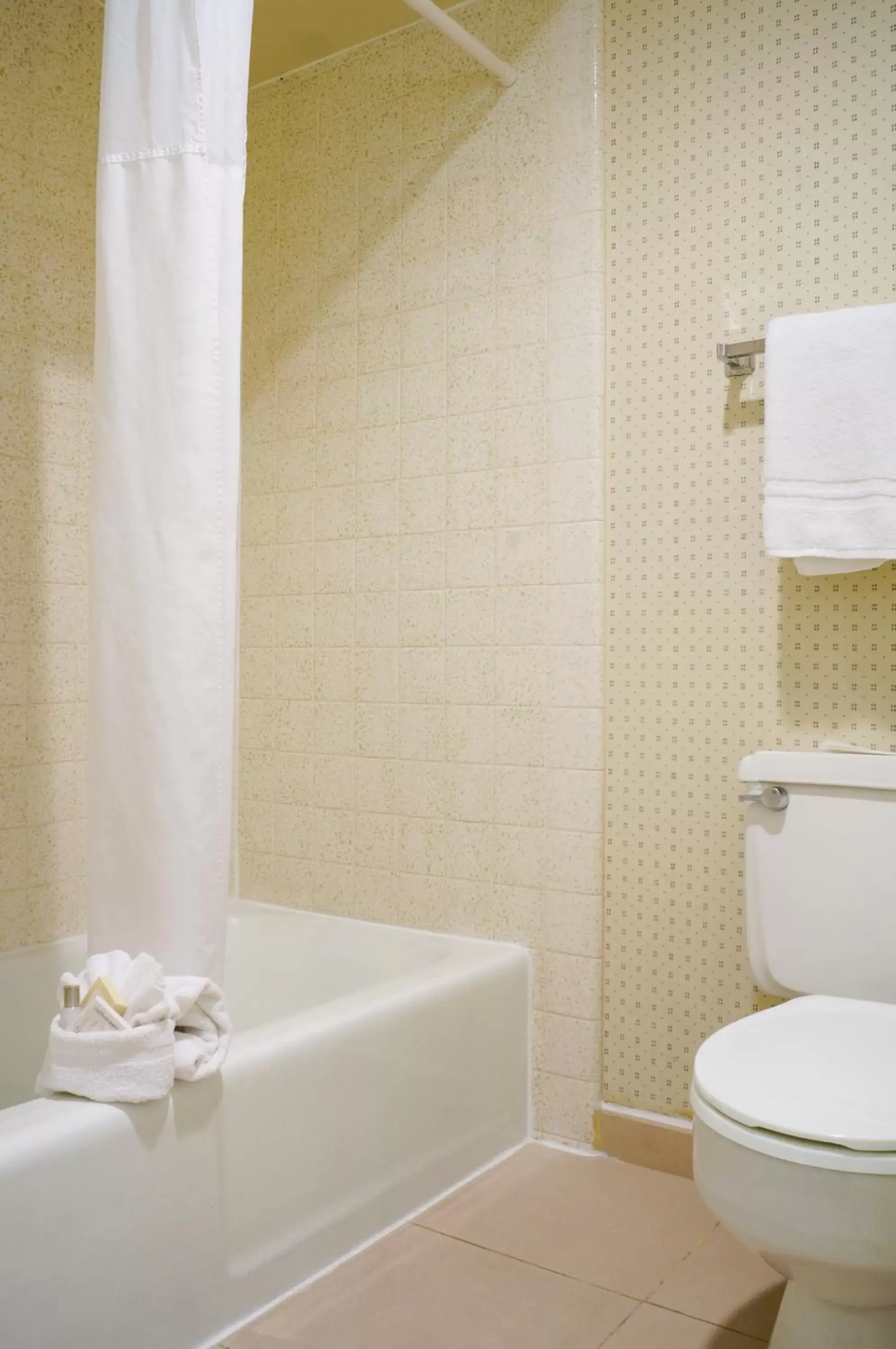 Shower, Bathroom in Vagabond Motor Hotel - Palm Springs