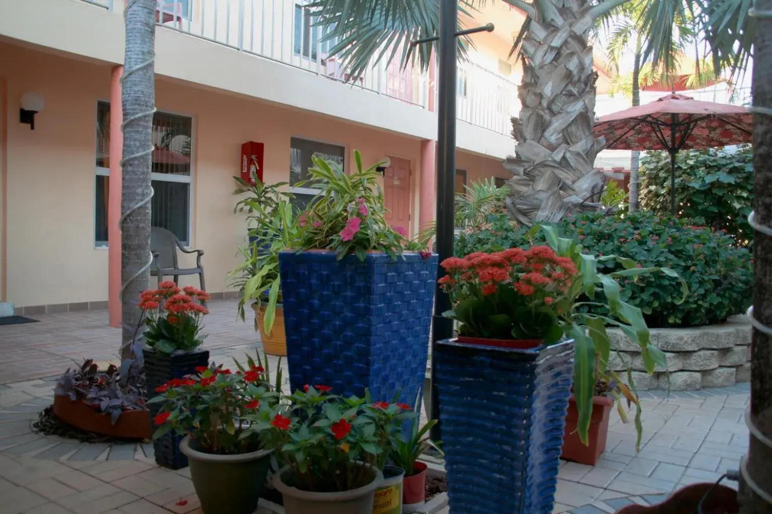 Garden in Lago Mar Motel and Apartments