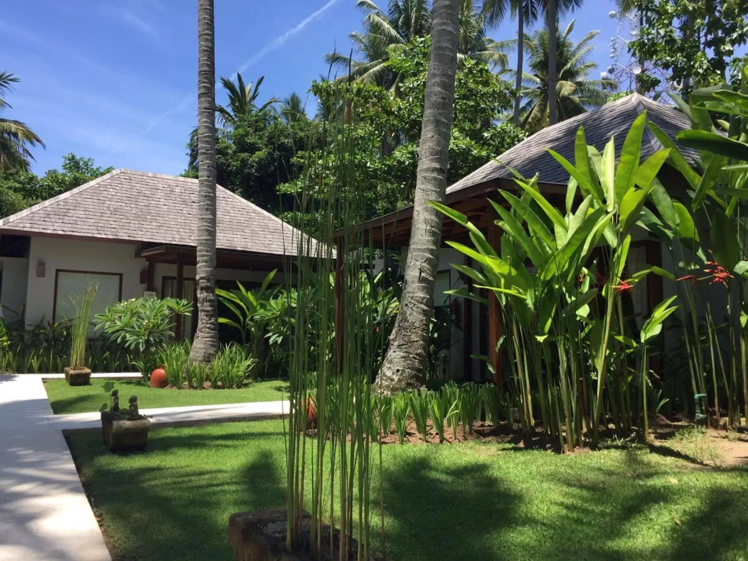 Garden, Property Building in The Chandi Boutique Resort & Spa