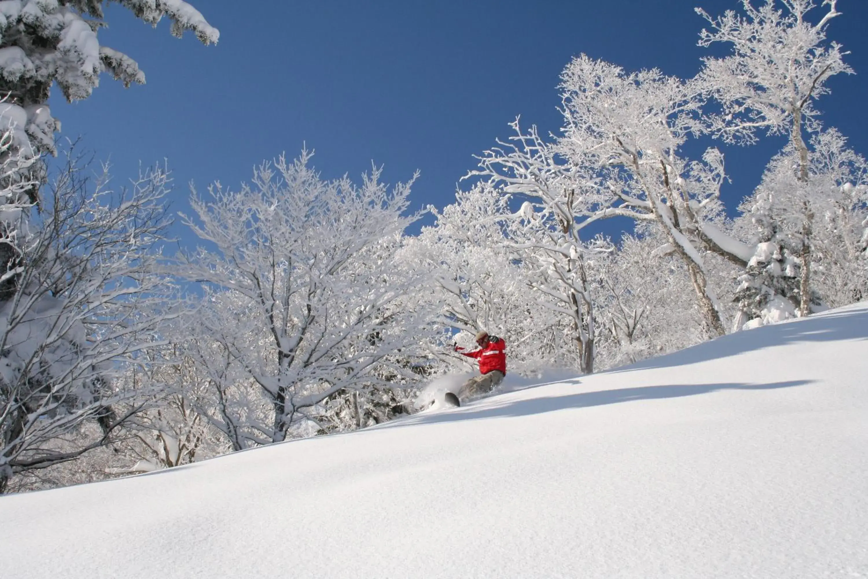 Area and facilities, Winter in Furano Natulux Hotel