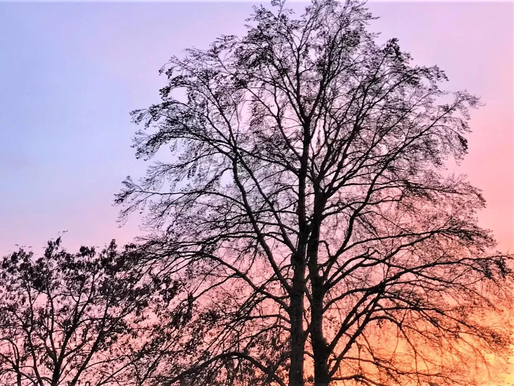 Garden, Sunrise/Sunset in Au temps suspendu