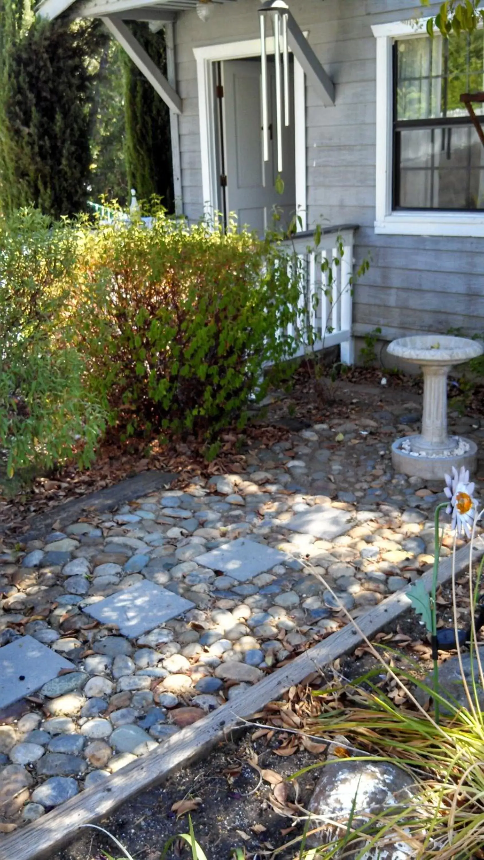 Garden in Mother Lode Lodge