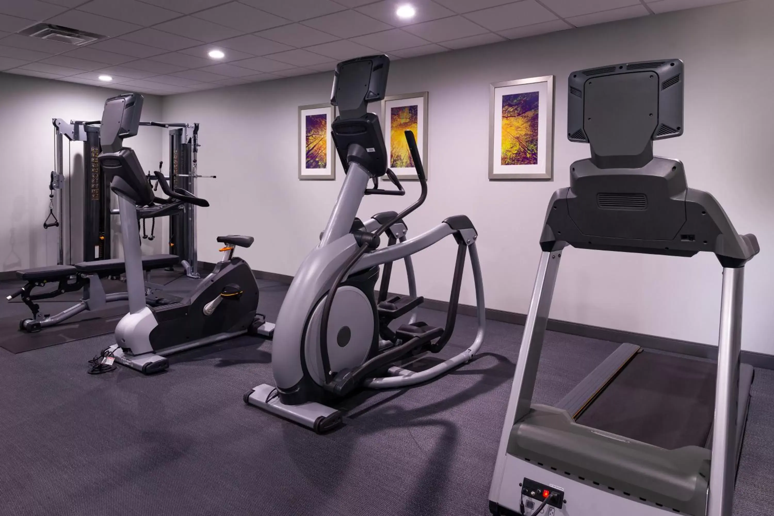 Fitness centre/facilities, Fitness Center/Facilities in Staybridge Suites - Lake Charles, an IHG Hotel