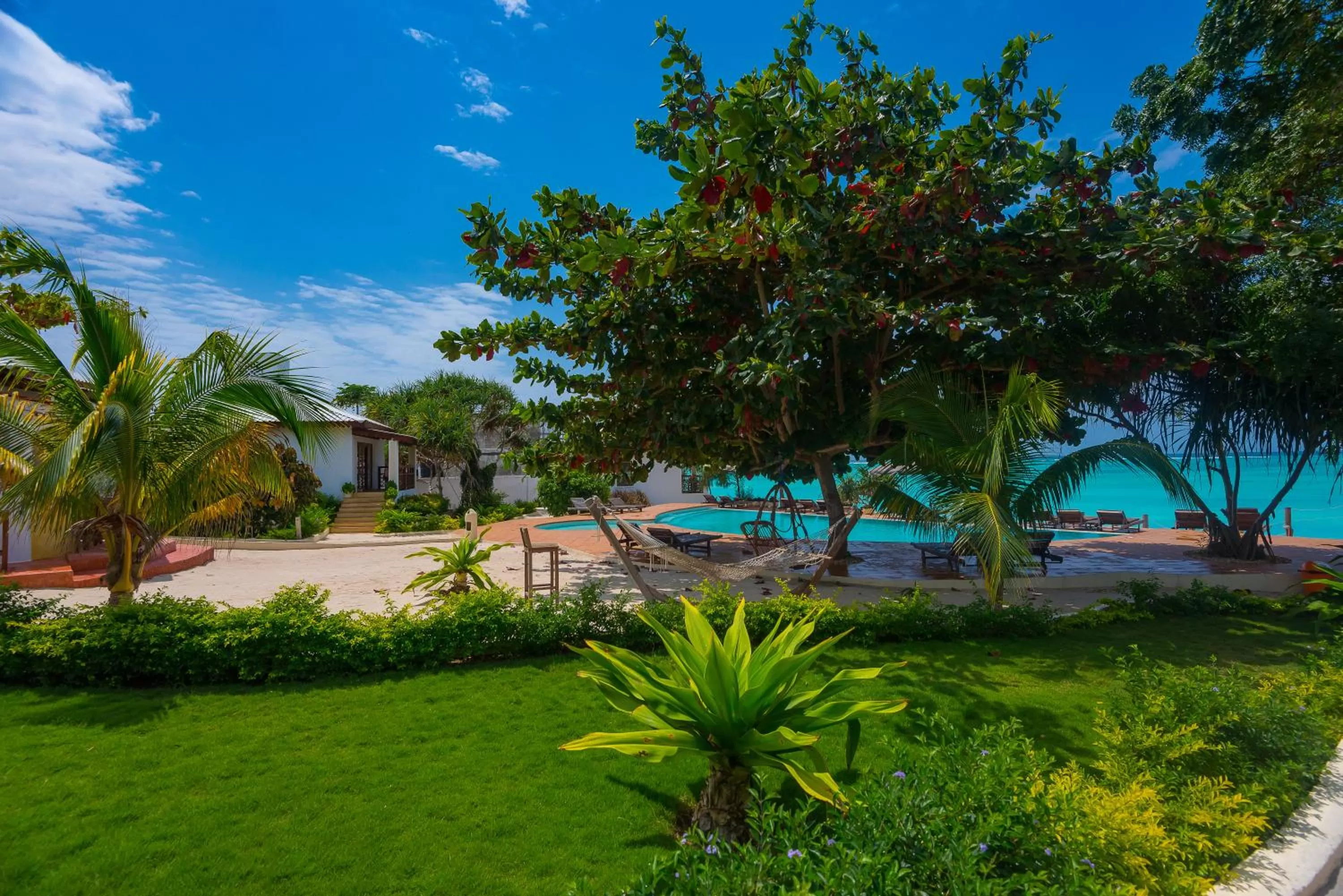 Garden in Warere Beach