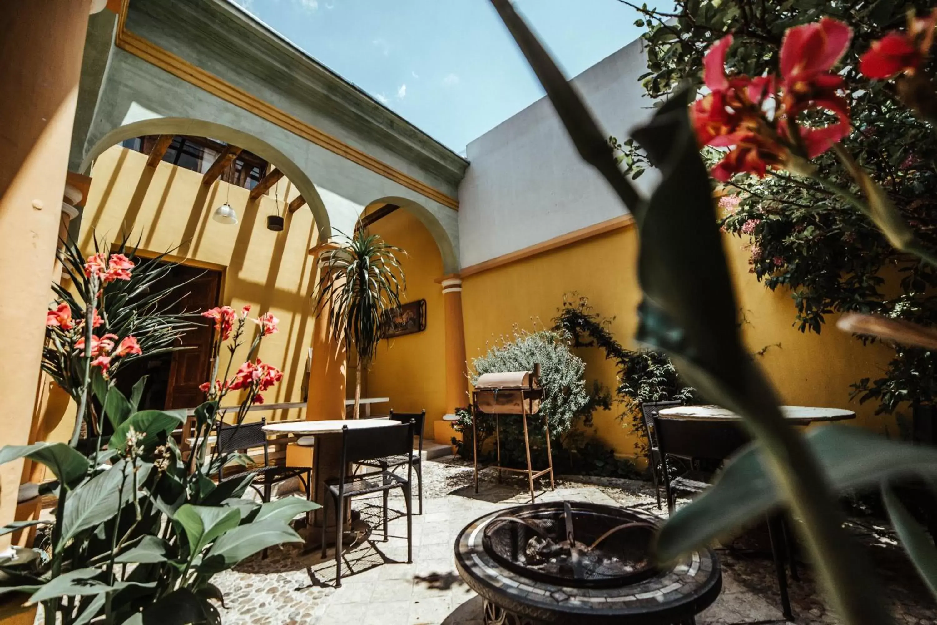 Patio in Snail Bed & Breakfast