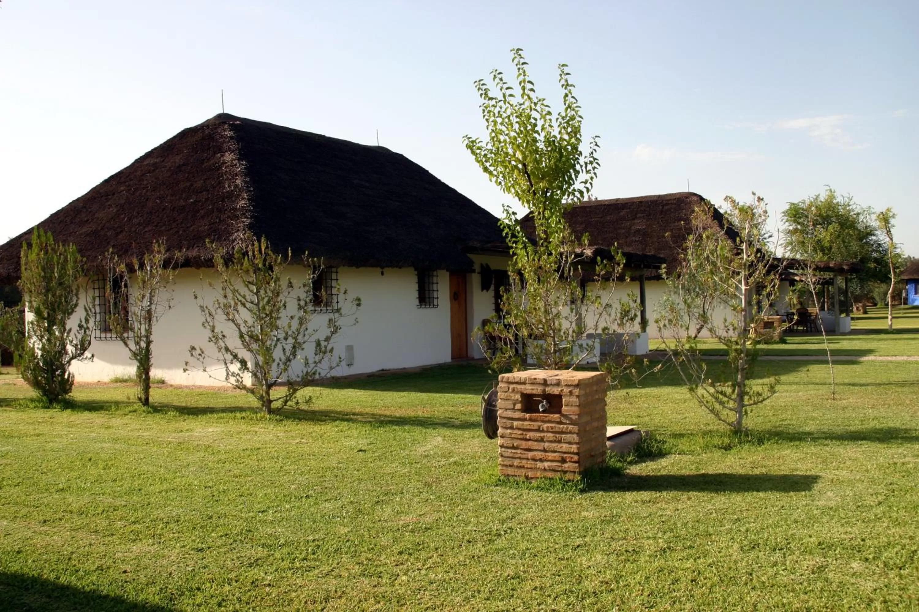 Balcony/Terrace in Ardea Purpurea