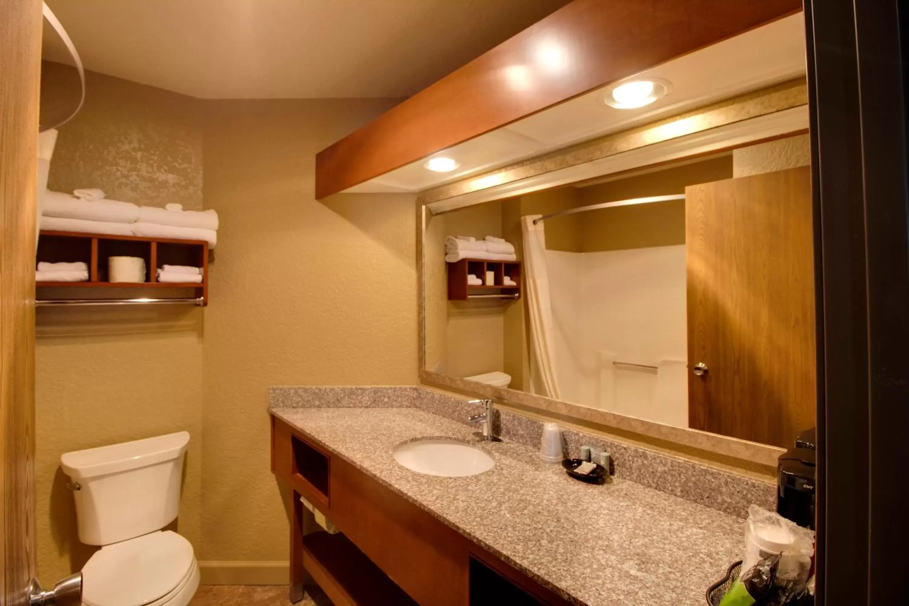 Bathroom in Best Western Harbour Pointe Lakefront