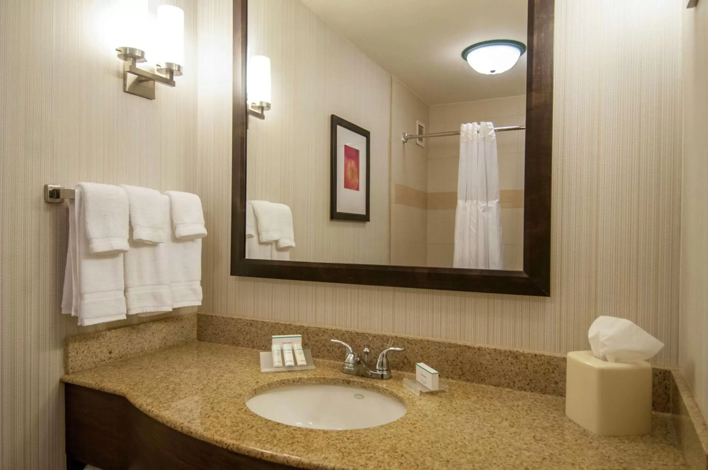 Bathroom in Hilton Garden Inn New Orleans Airport