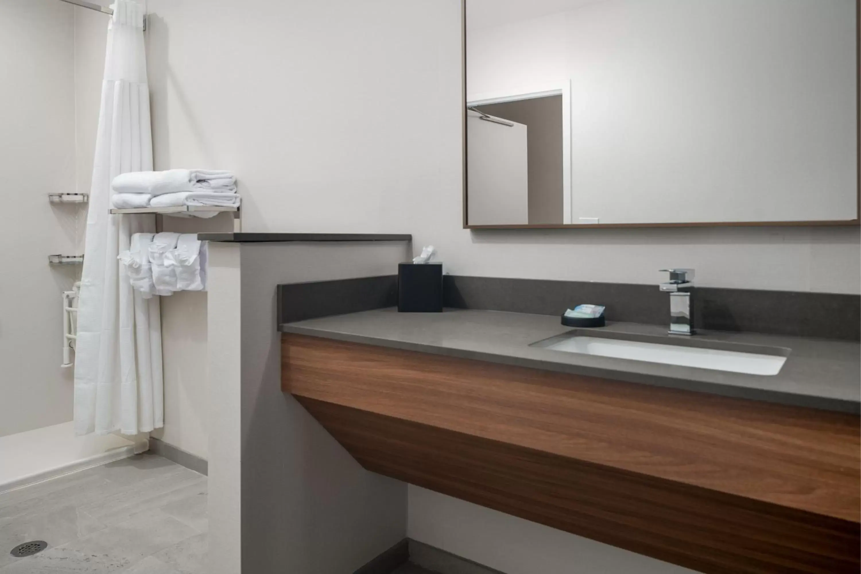 Bathroom in Fairfield by Marriott Inn & Suites Albertville