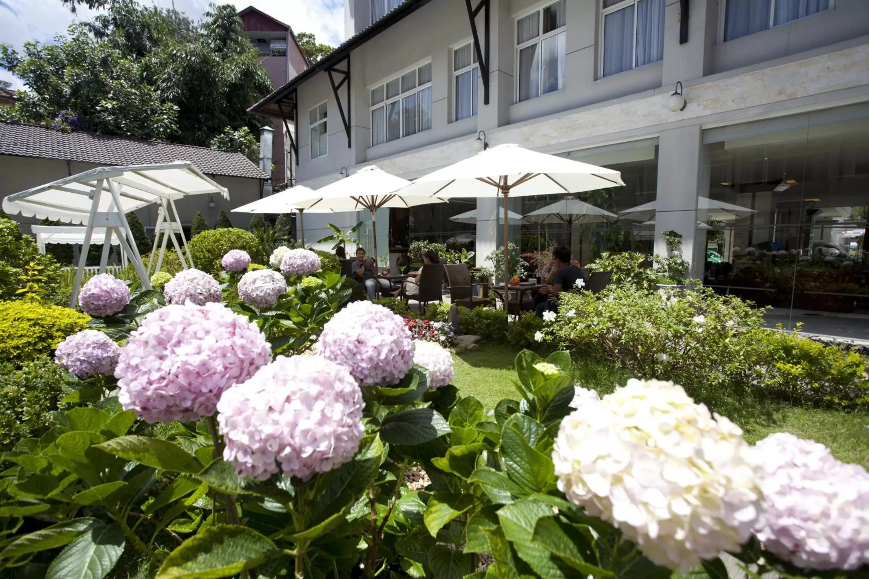 View (from property/room), Patio/Outdoor Area in Muong Thanh Holiday Da Lat Hotel