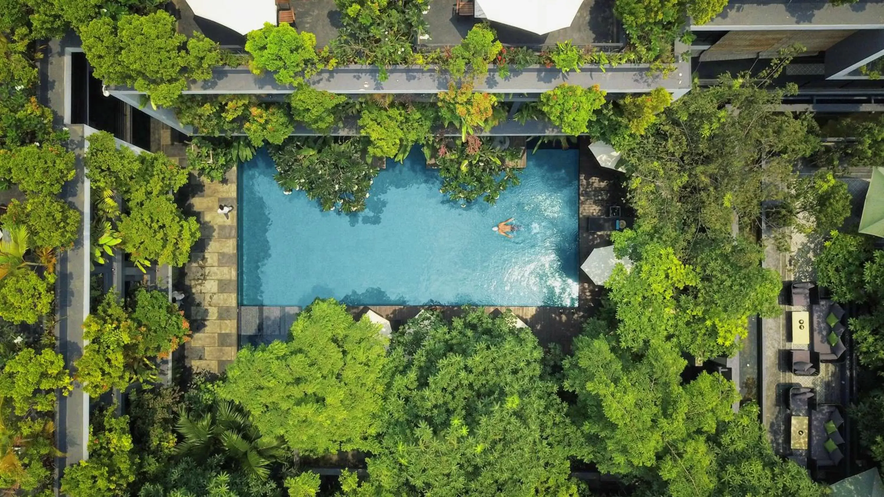 Swimming pool in Anjali by Syphon