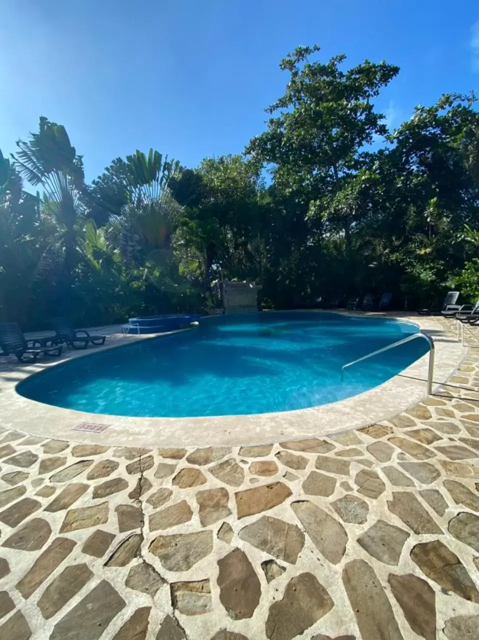 Swimming Pool in Hotel Playa Westfalia