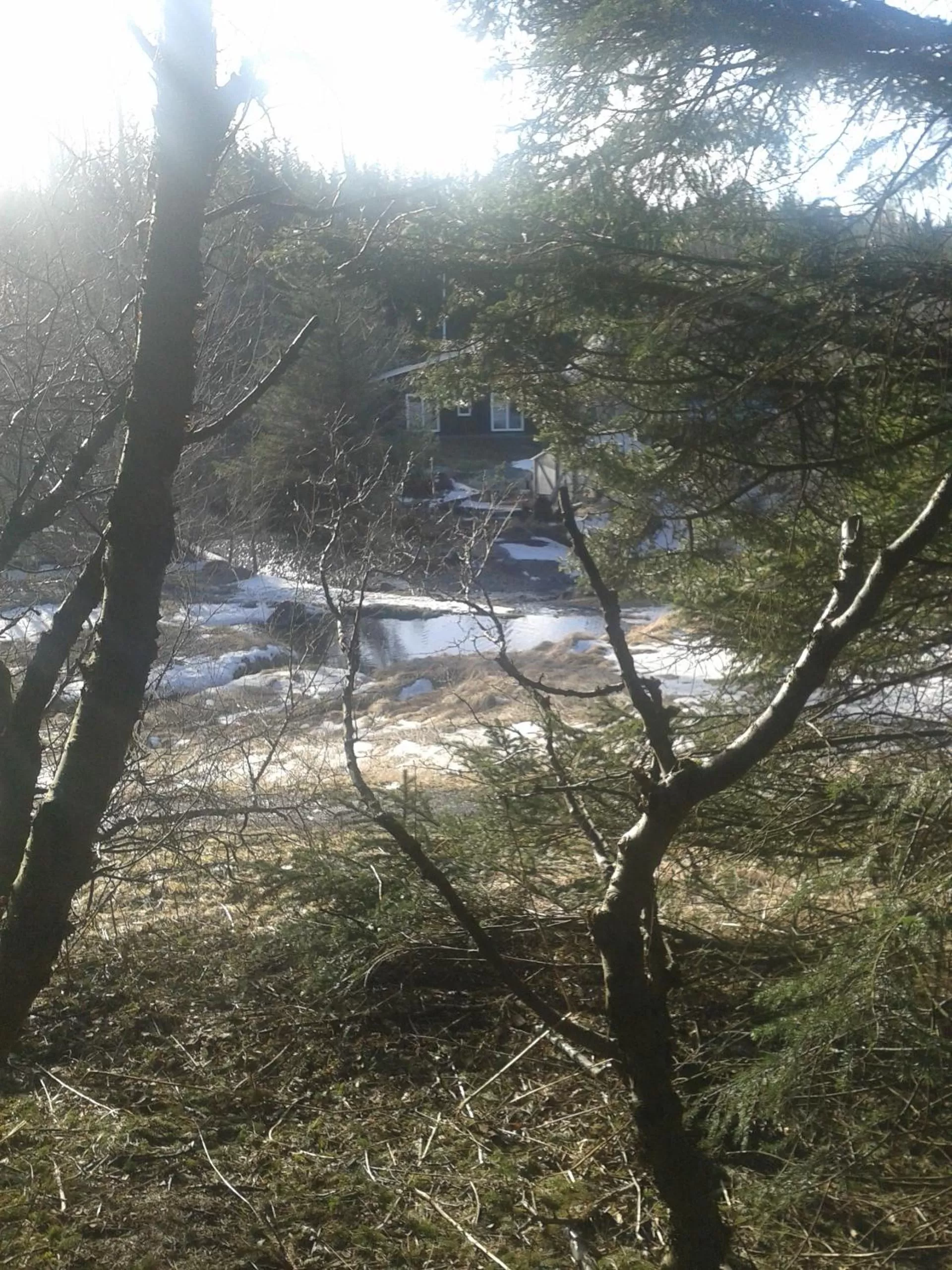 Fishing in Hotel Laxnes