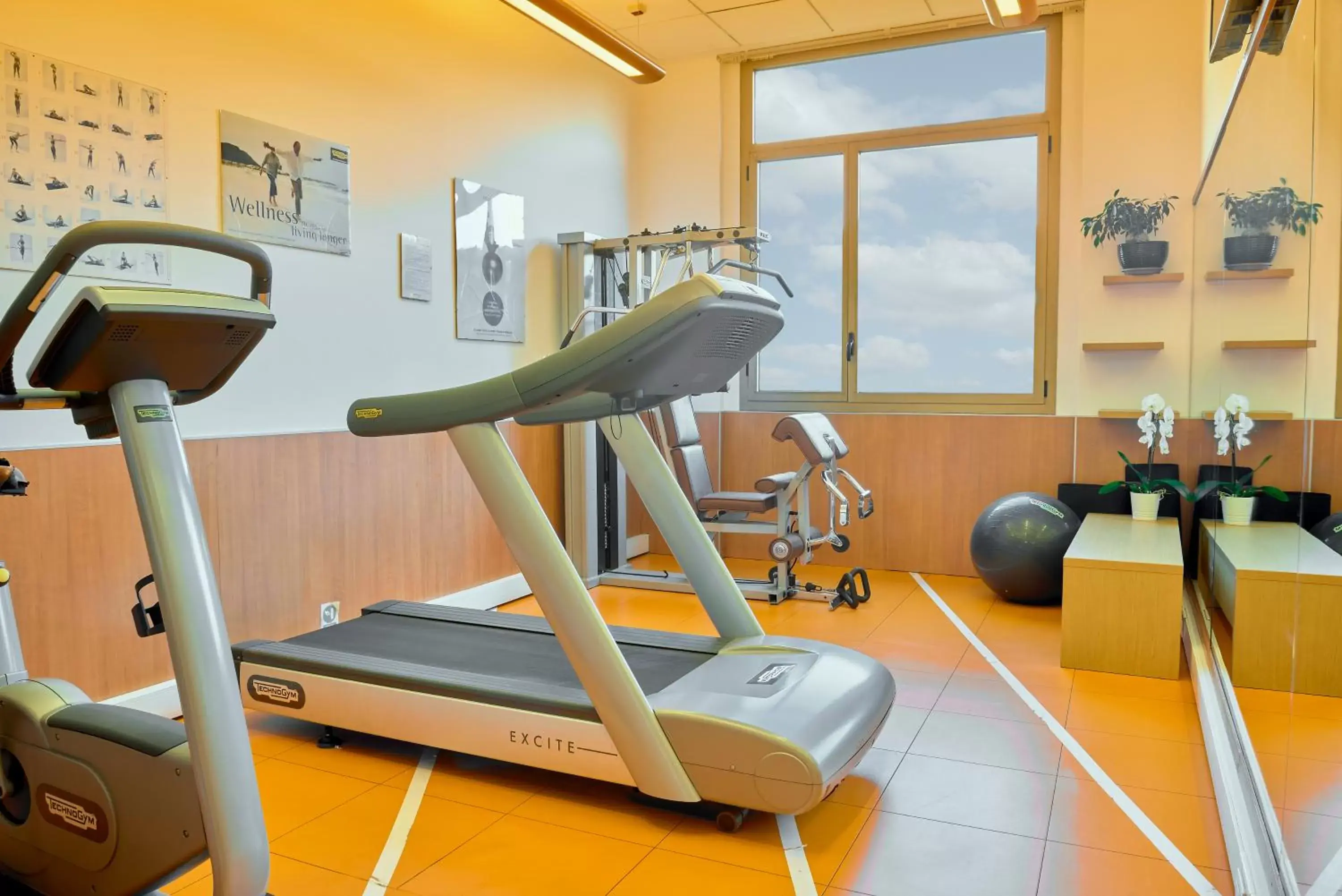 Fitness Center/Facilities in Novotel Torino Corso Giulio Cesare