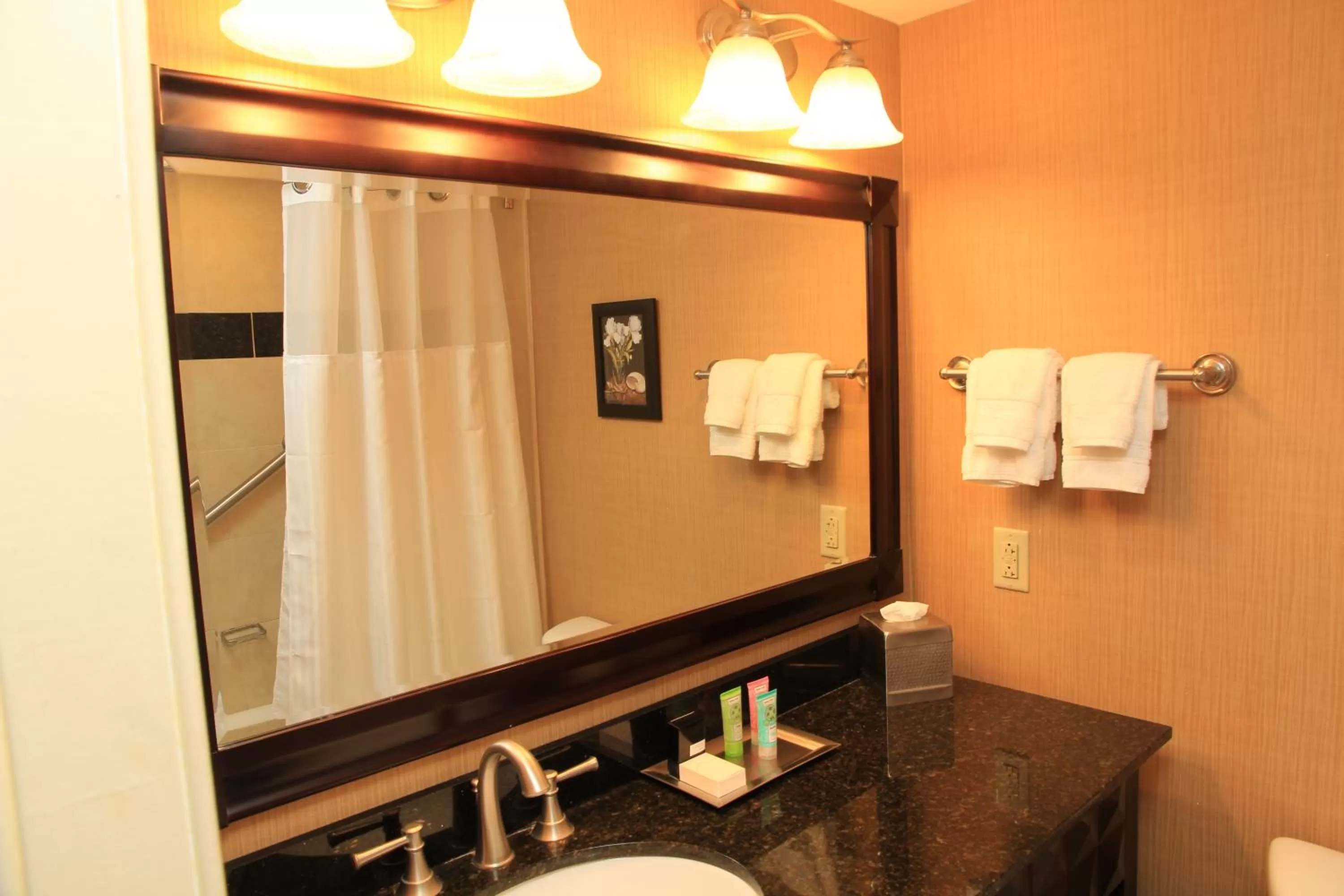 Bathroom in Wyndham Grand Pittsburgh