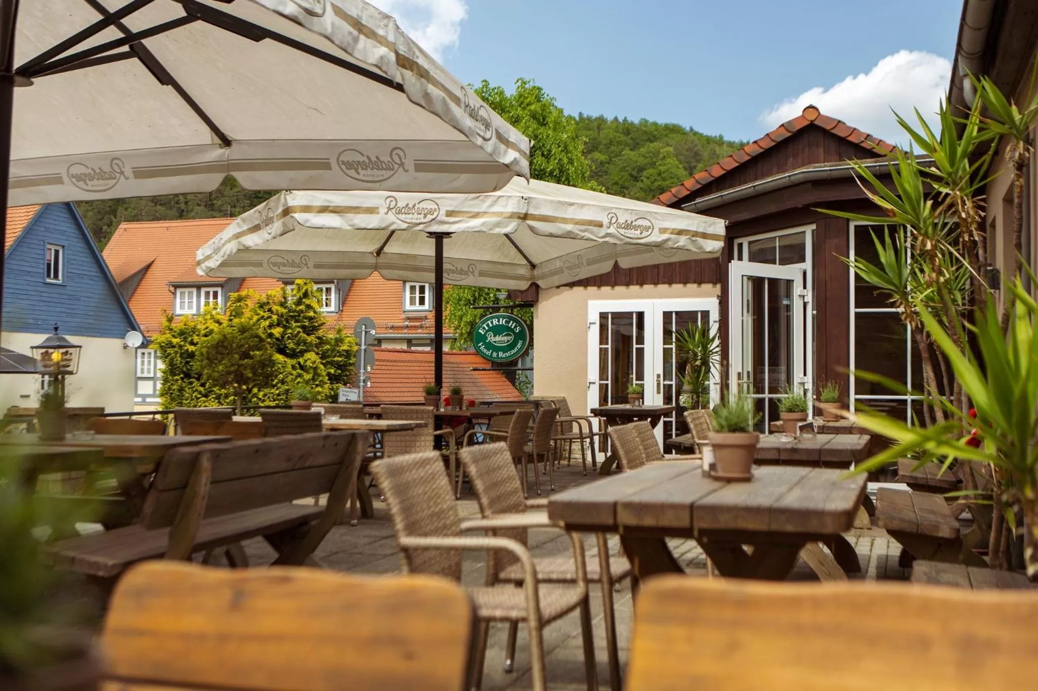 Restaurant/places to eat in Hotel Ettrich & Elbresort Rathen