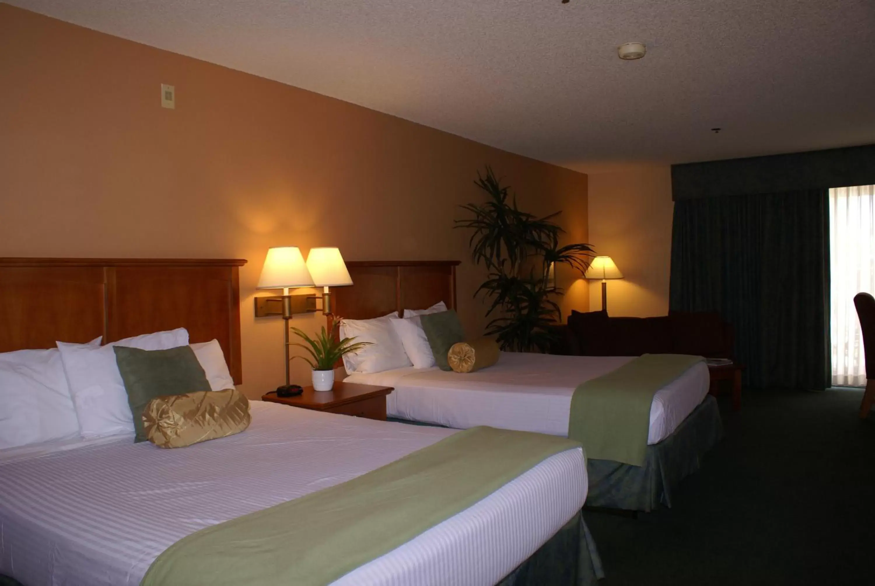 Photo of the whole room, Bed in Miracle Springs Resort and Spa