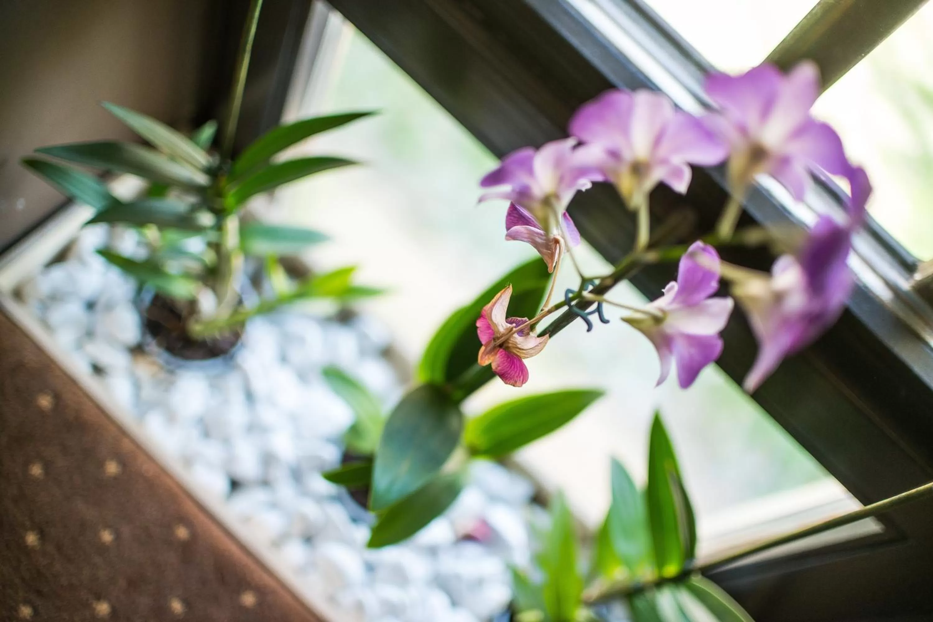 Other in Hotel Fürdőház