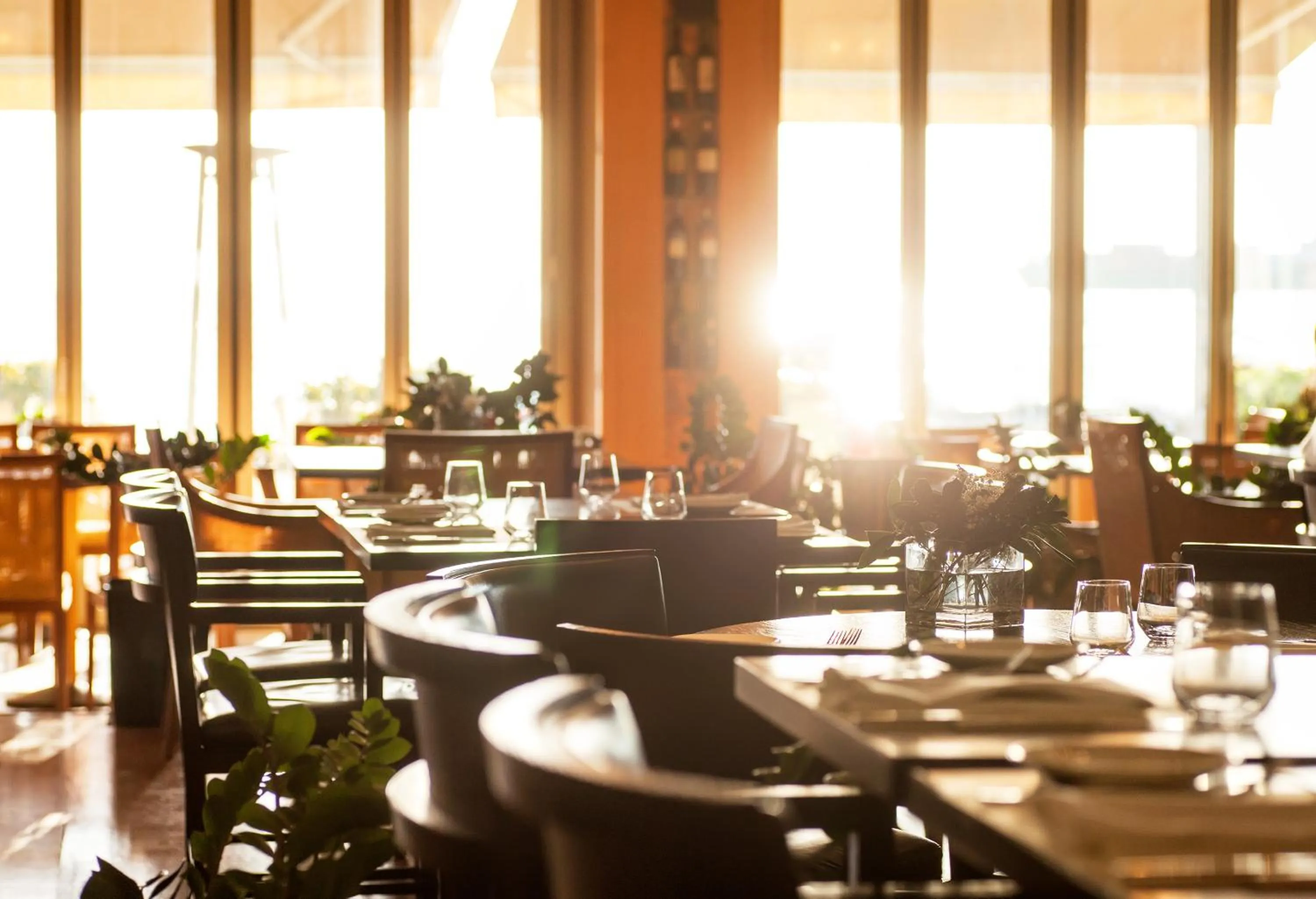 Restaurant/places to eat in Daios Luxury Living