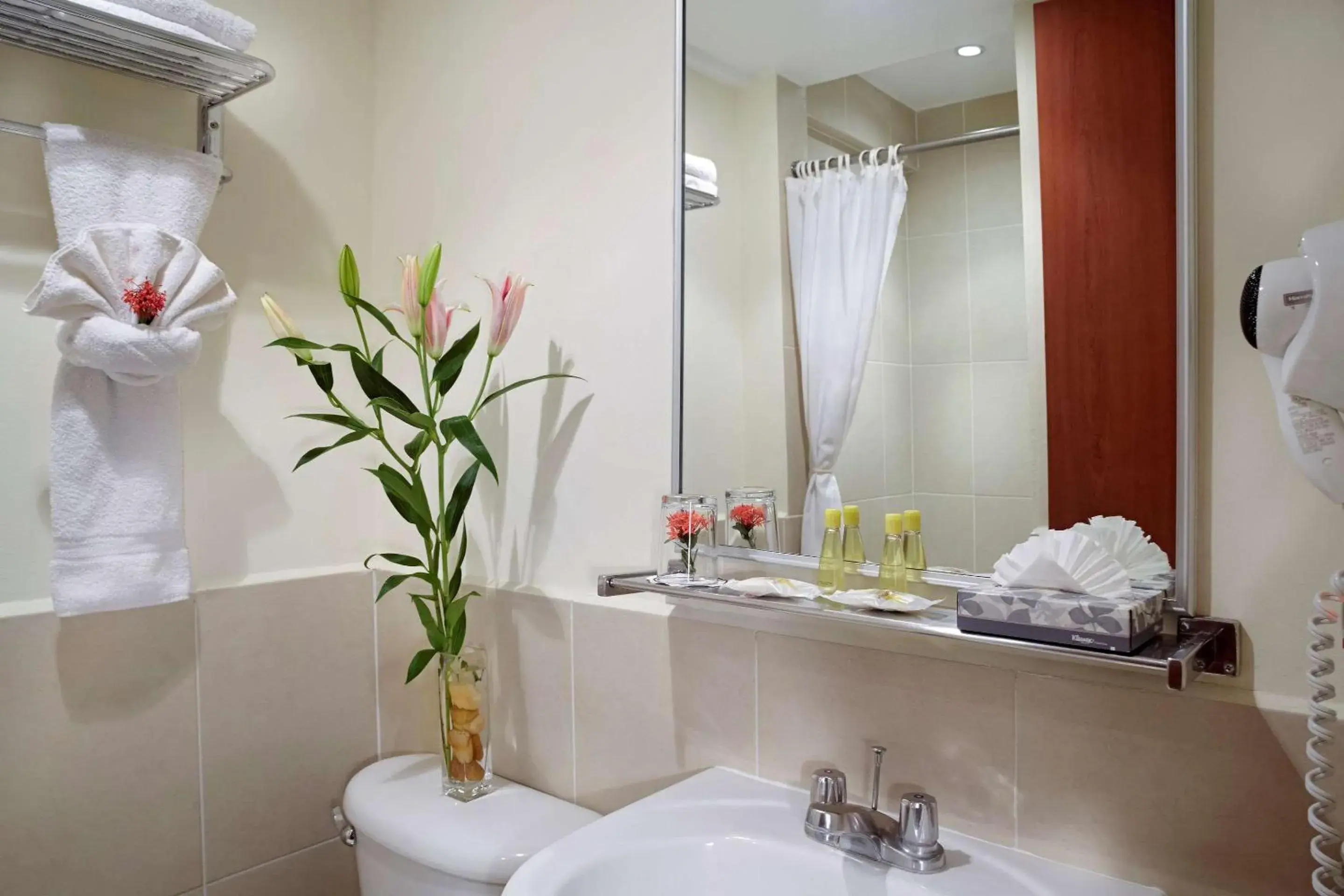 Shower, Bathroom in Comfort Inn Real San Miguel