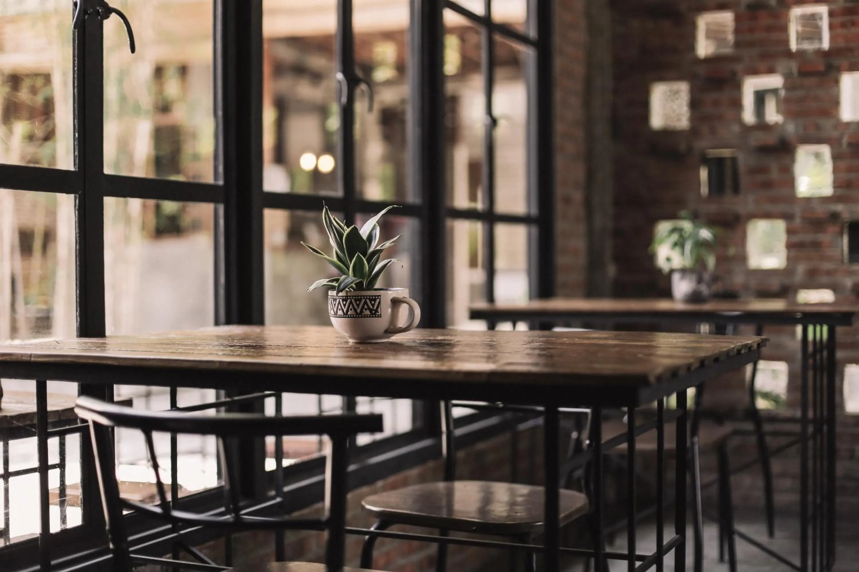 Restaurant/places to eat in The Flying Fish Hostel