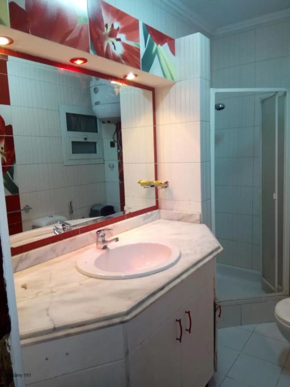 Bathroom in Nile Star Suites & Apartments