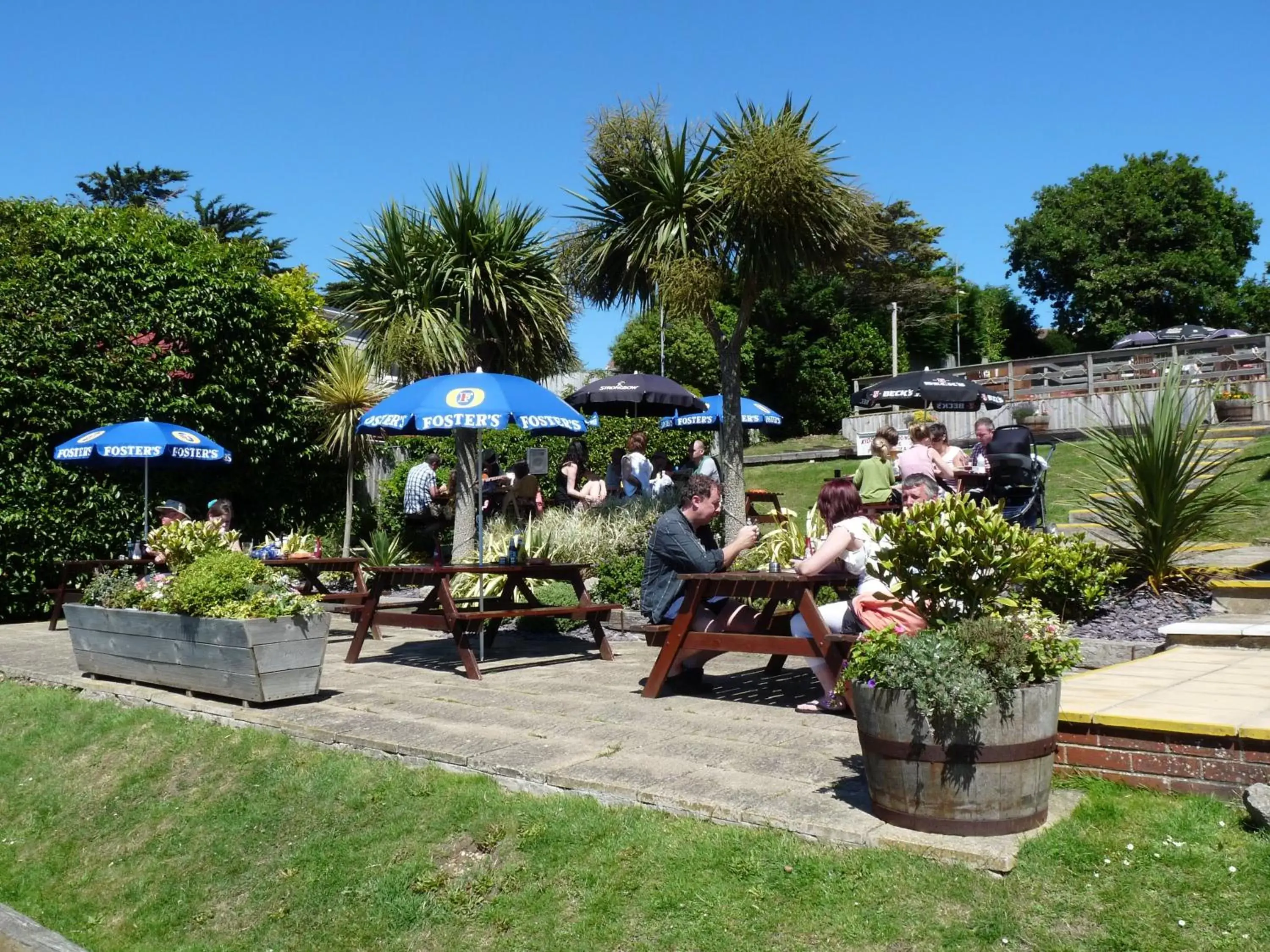 Garden, Patio/Outdoor Area in The Woodvale