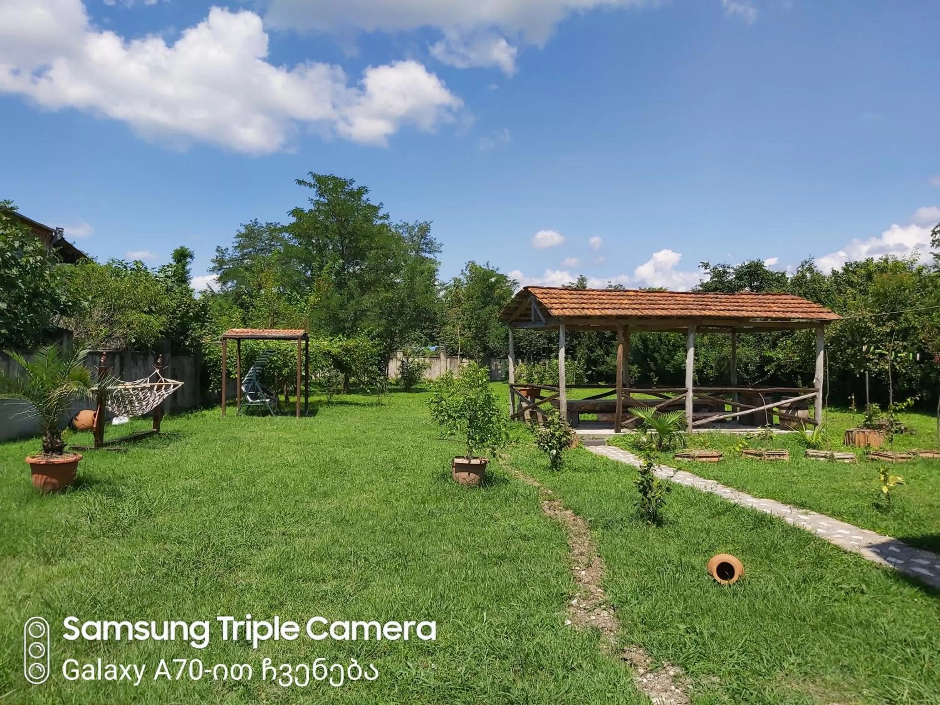 Property building in Martvili Newhotel