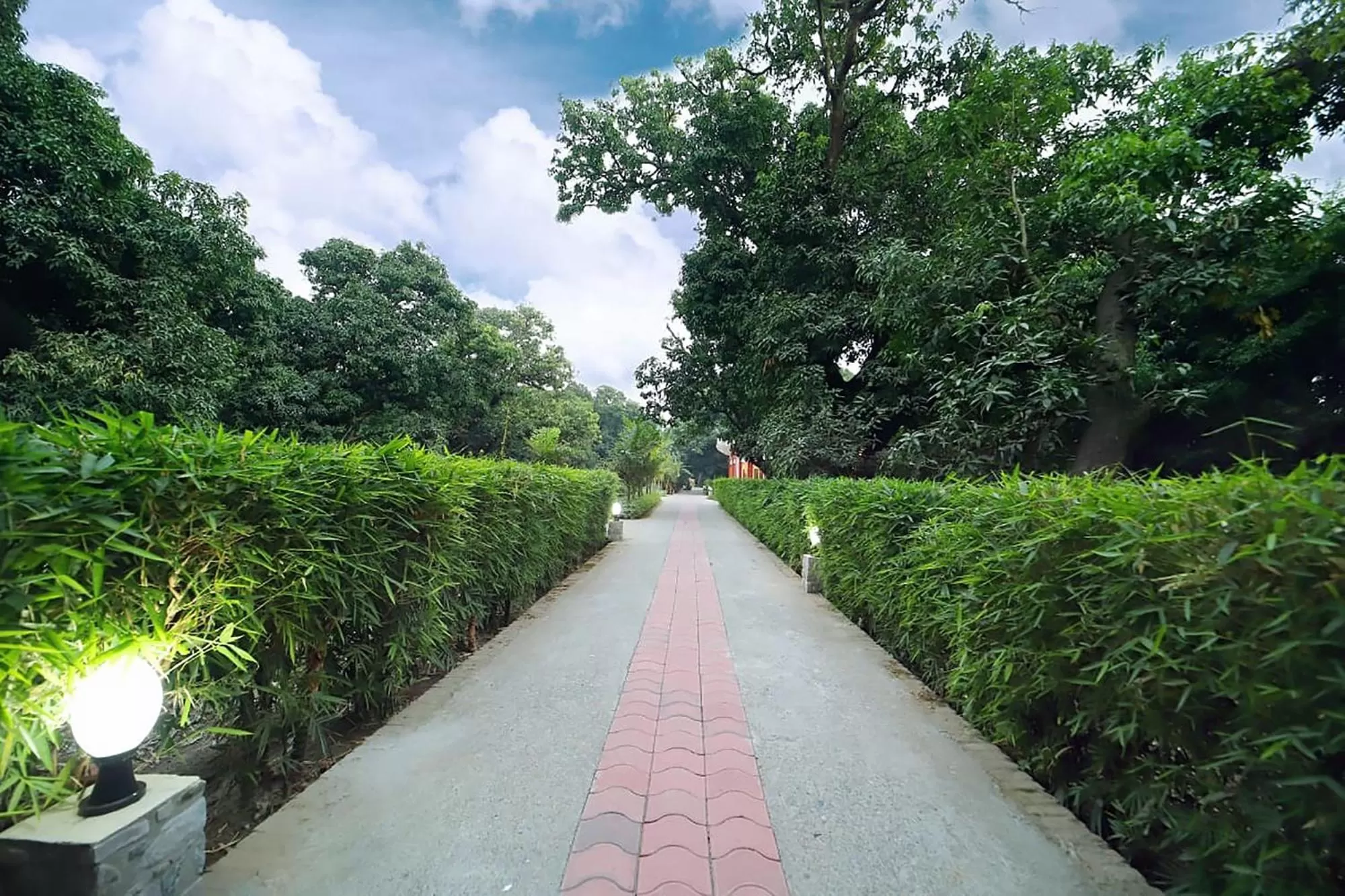 Garden in FabHotel Corbett Green View Garden and Stay