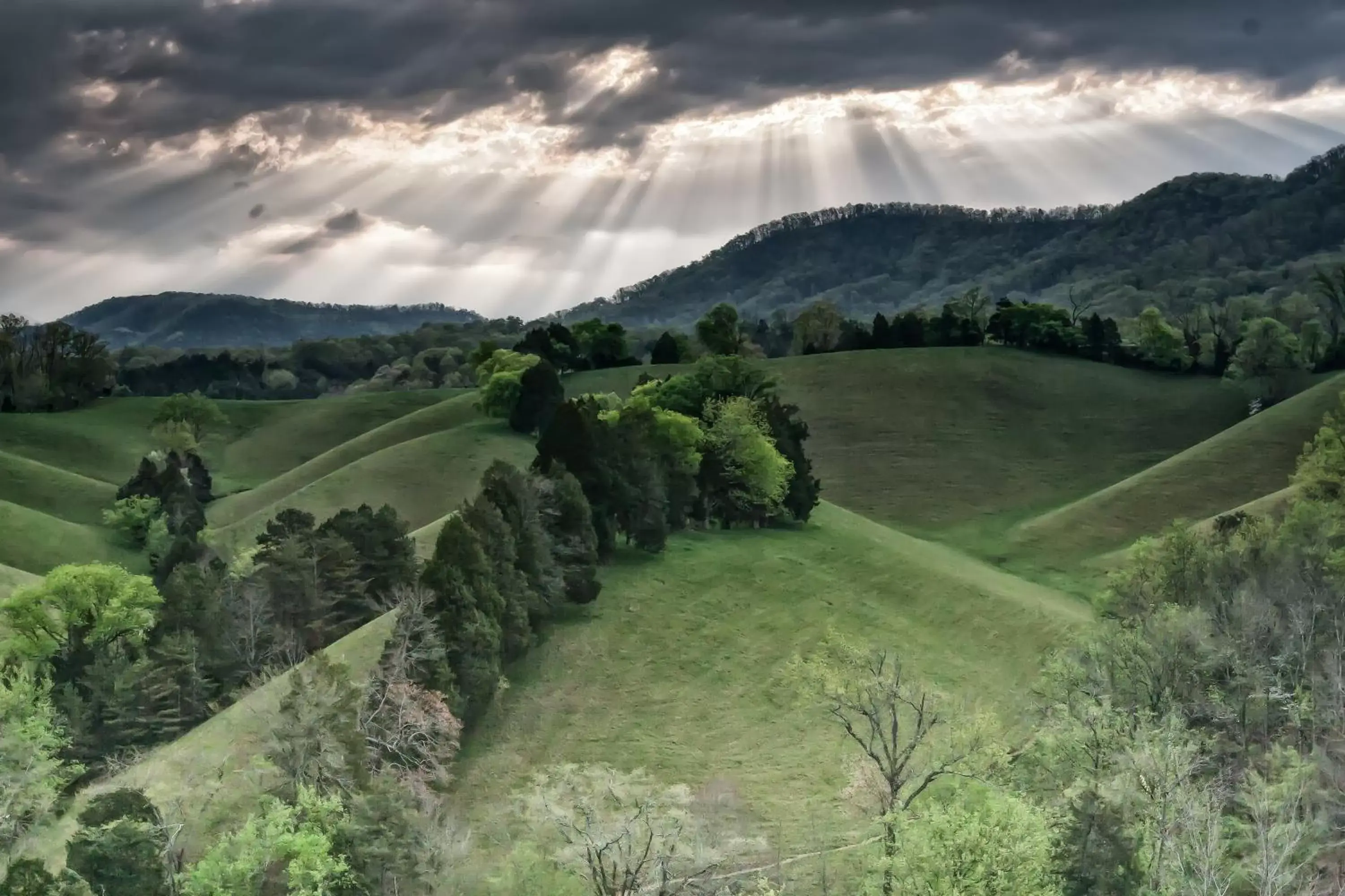 Mountain view, Bird's-eye View in Berry Springs Lodge