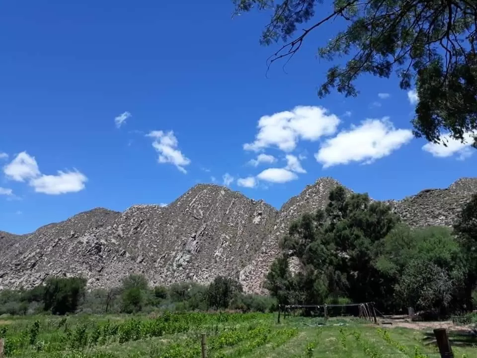 Inner courtyard view in Hotel Hacienda Casa Blanca