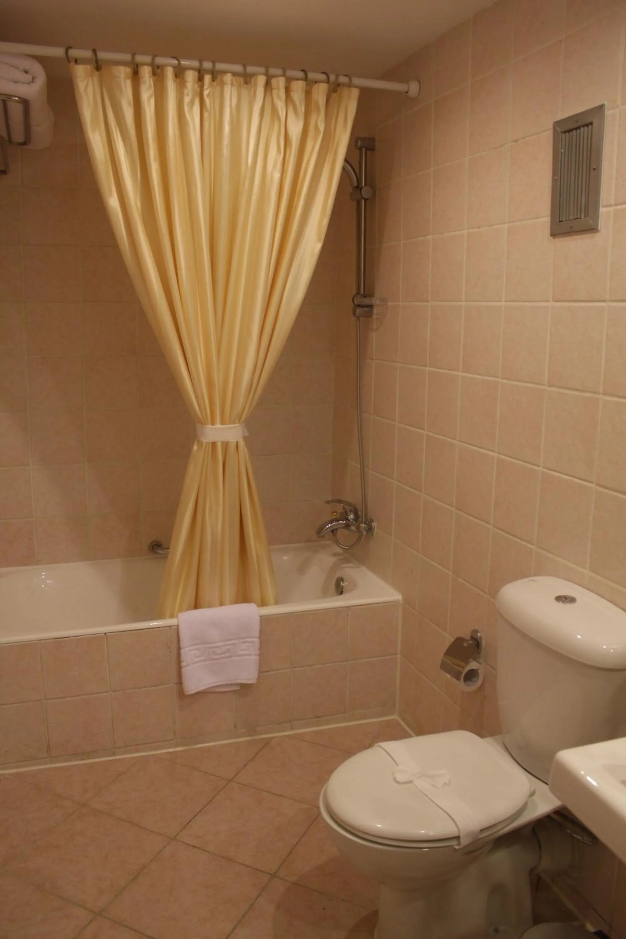 Shower in Horizon Shahrazad Hotel