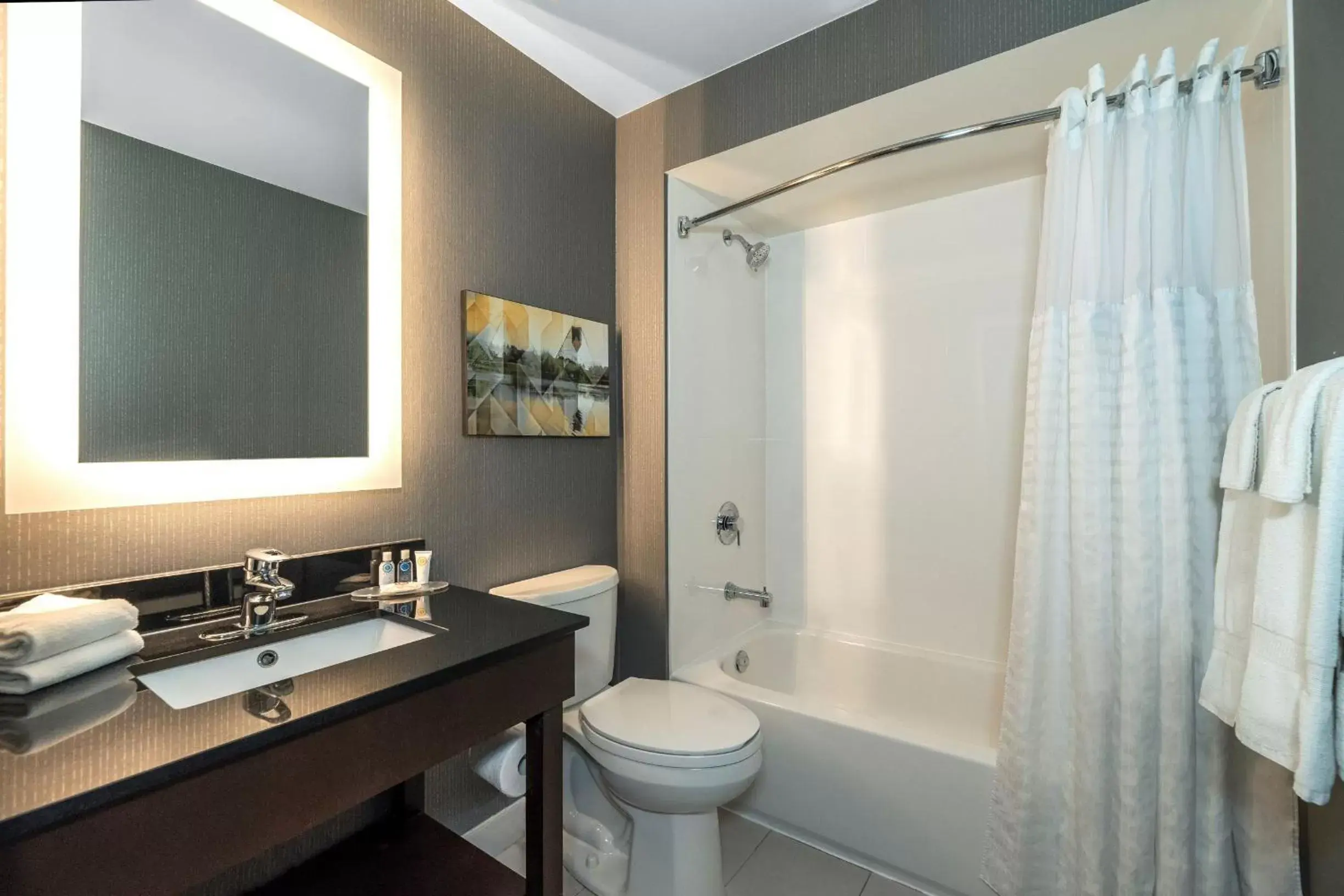 Shower, Bathroom in Comfort Inn Hamilton/Stoney Creek