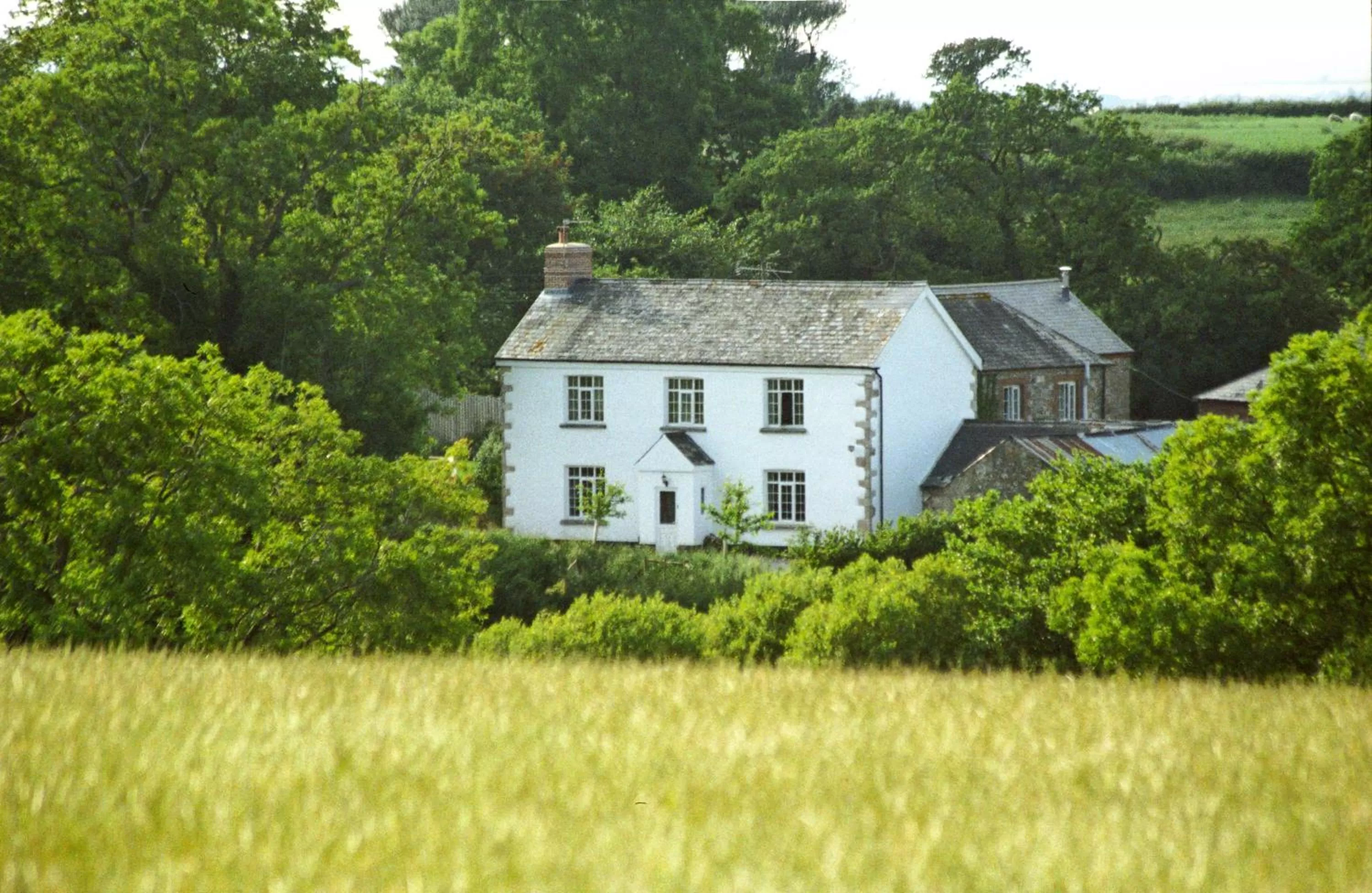 View (from property/room), Property Building in Lovaton Farmhouse