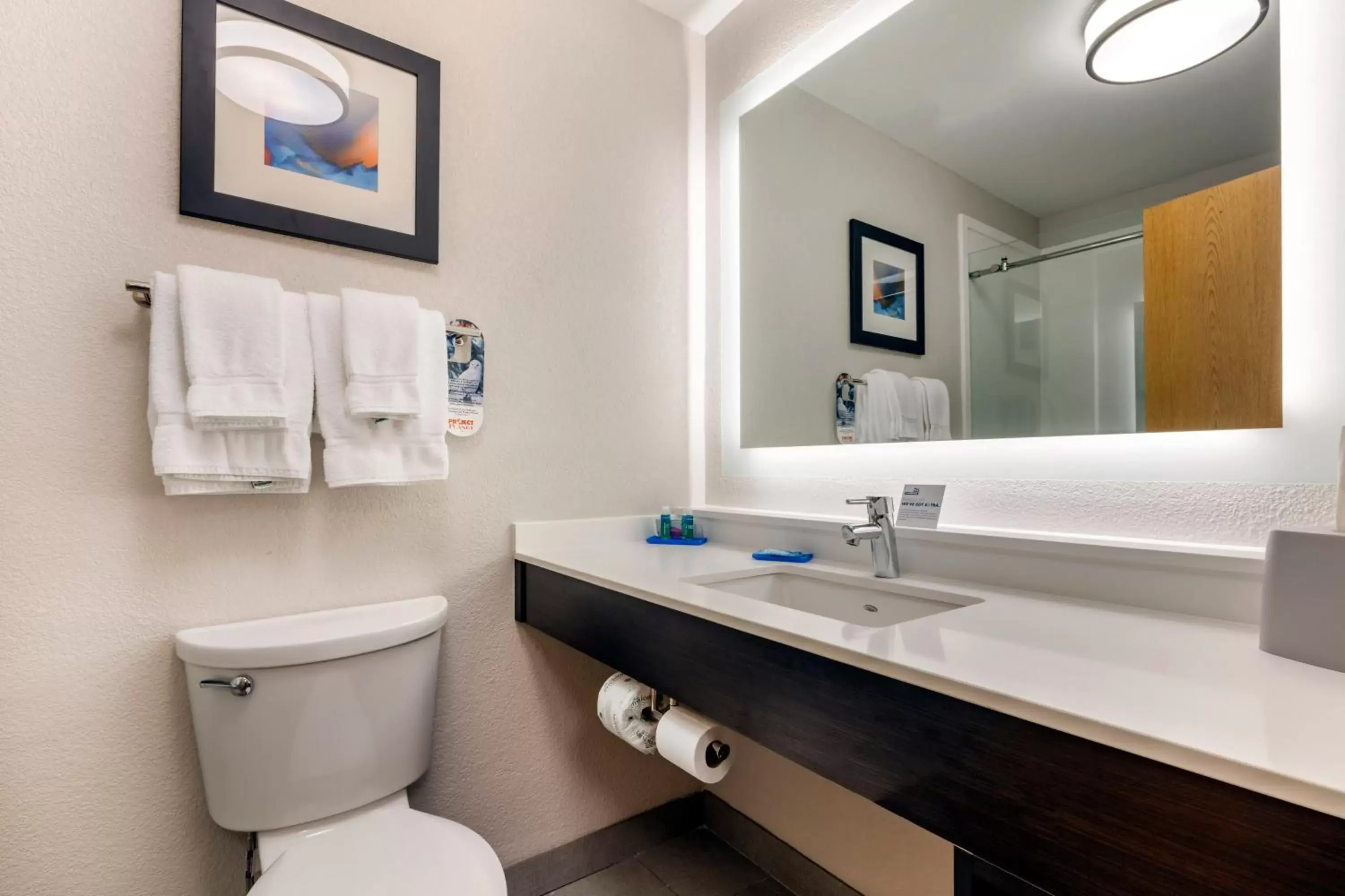 Bathroom in Holiday Inn Express Metropolis, an IHG Hotel